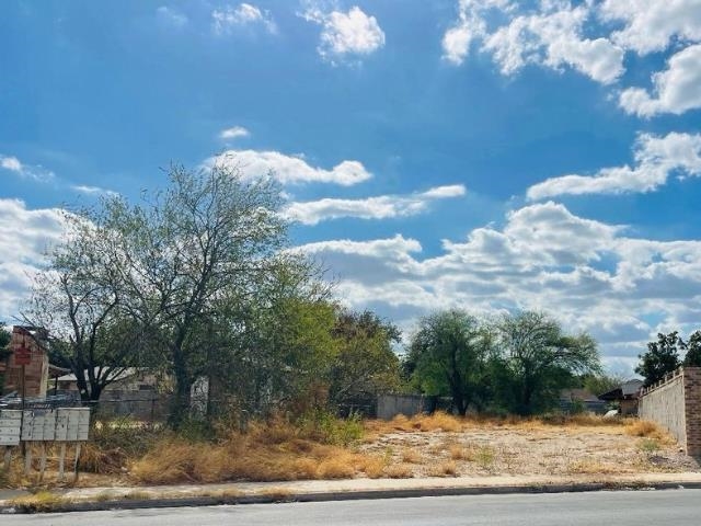 99 Prada-Machin Dr Property Photo 1