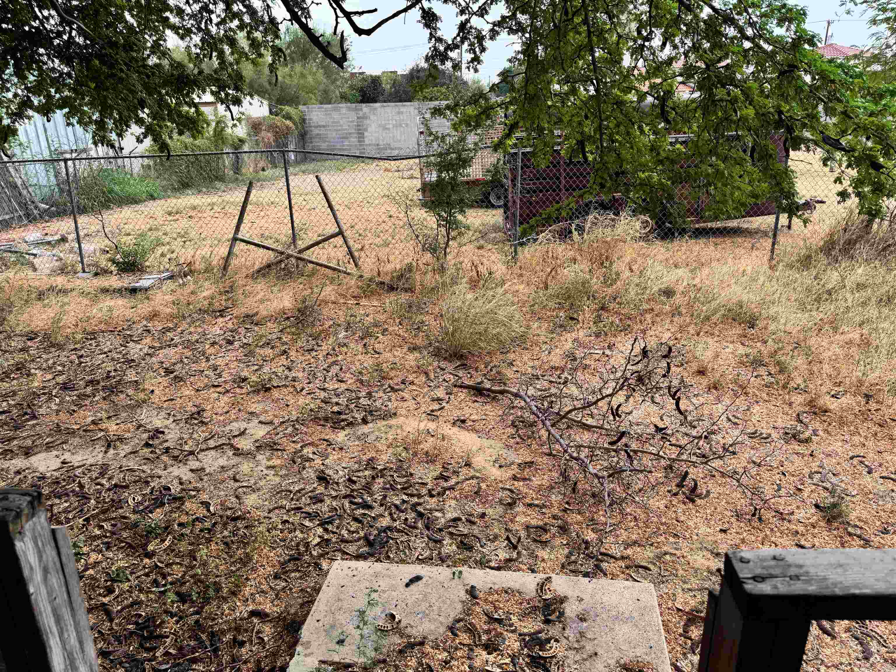 819 Rosario St Property Photo 21
