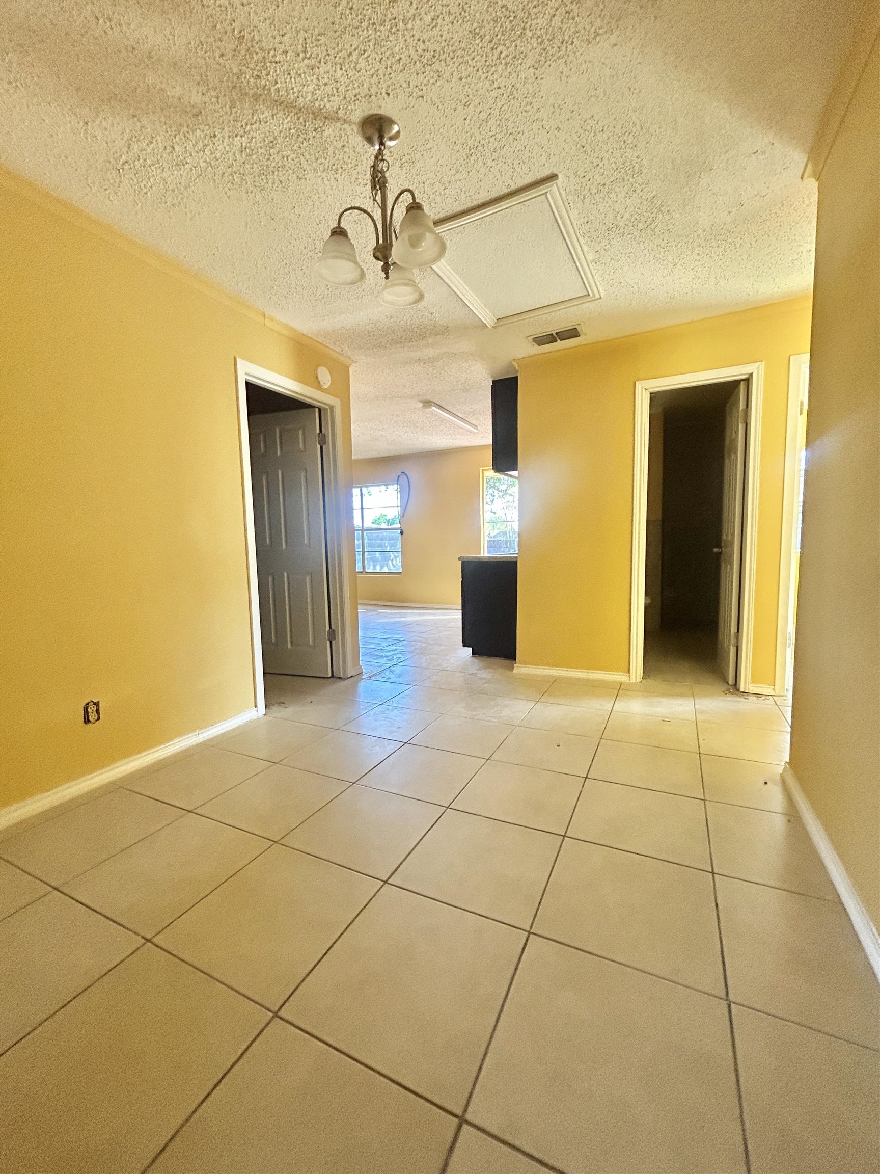 2720 Corpus Christi St Rear Property Photo 7