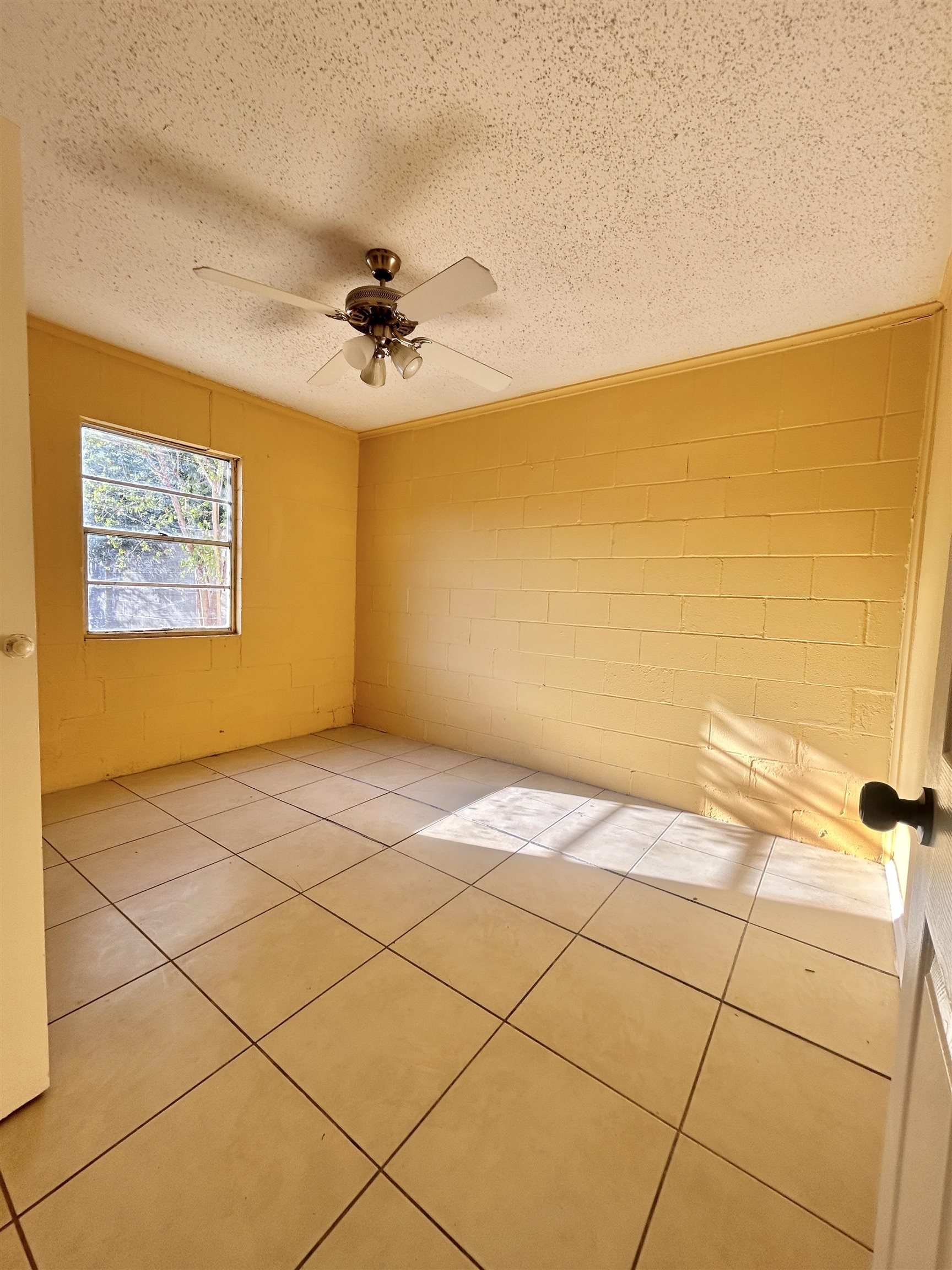 2720 Corpus Christi St Rear Property Photo 8