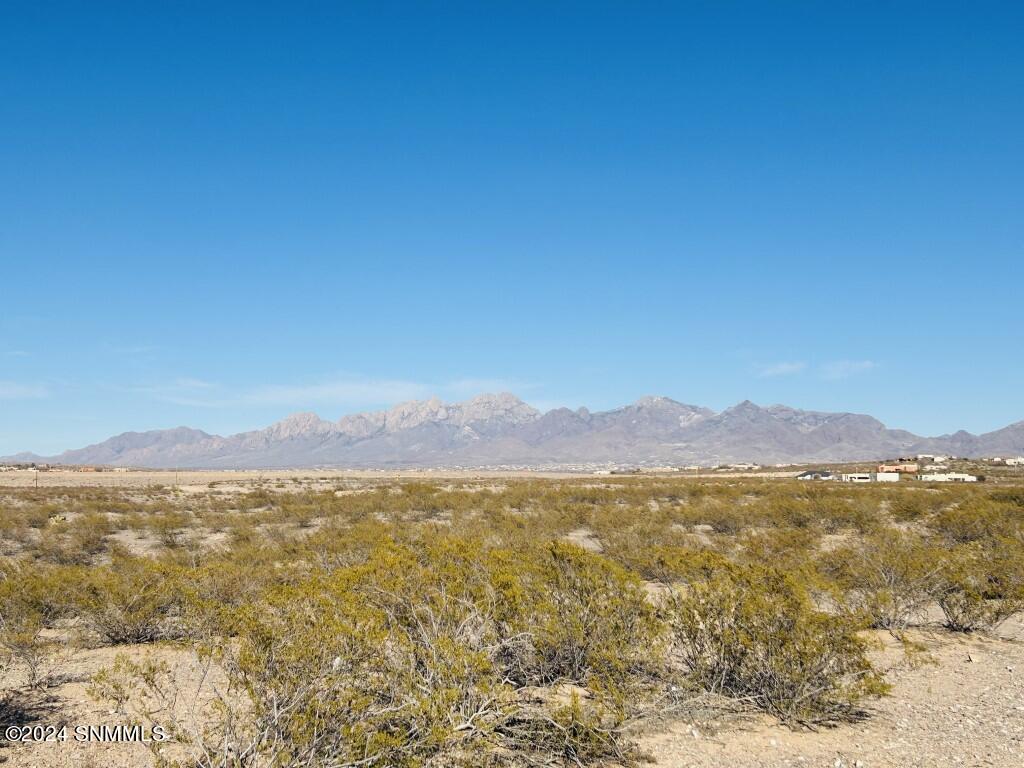 4361 Rc Gorman Loop Property Photo 9