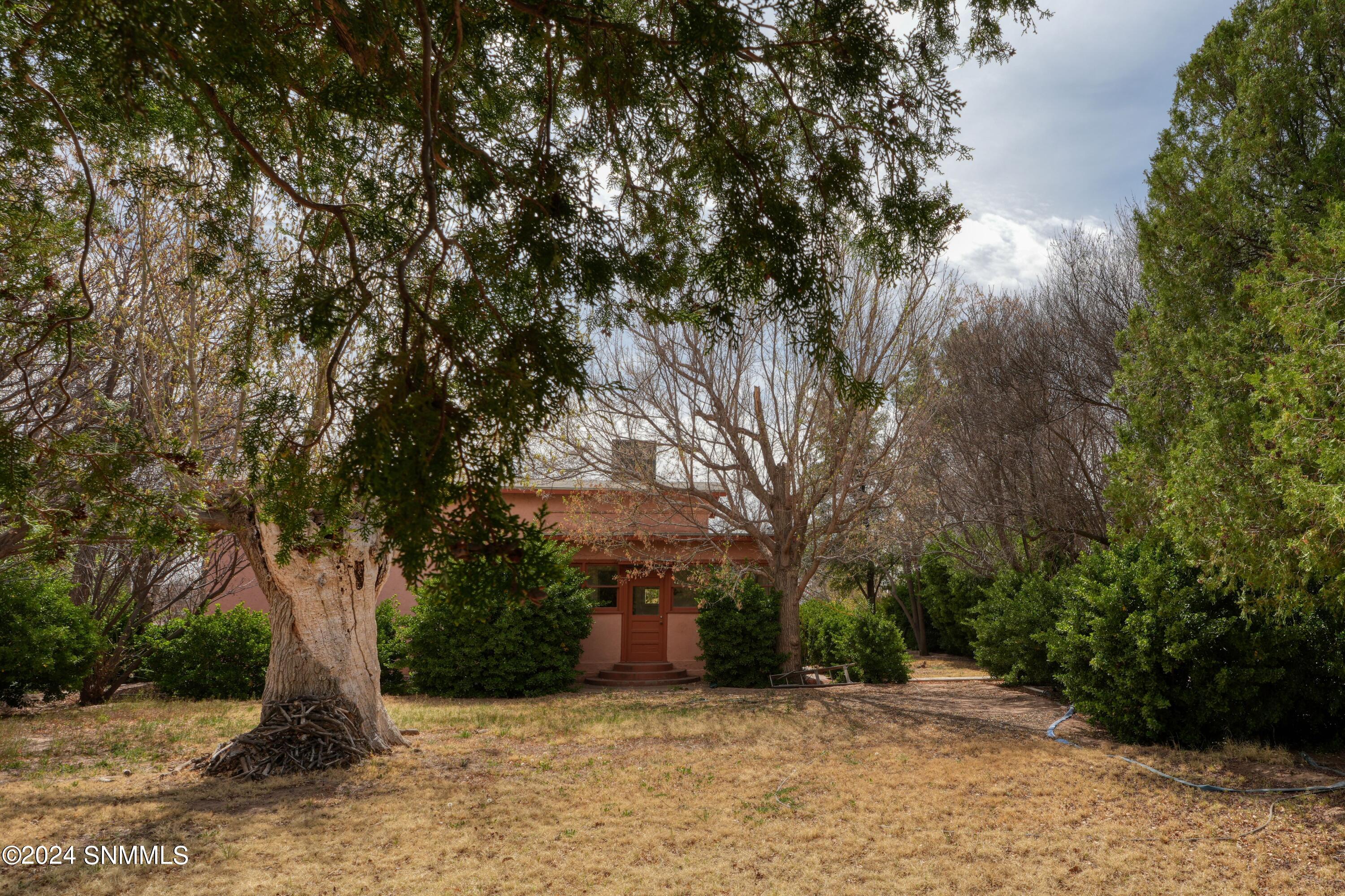 2090 Snow Road Property Photo 9