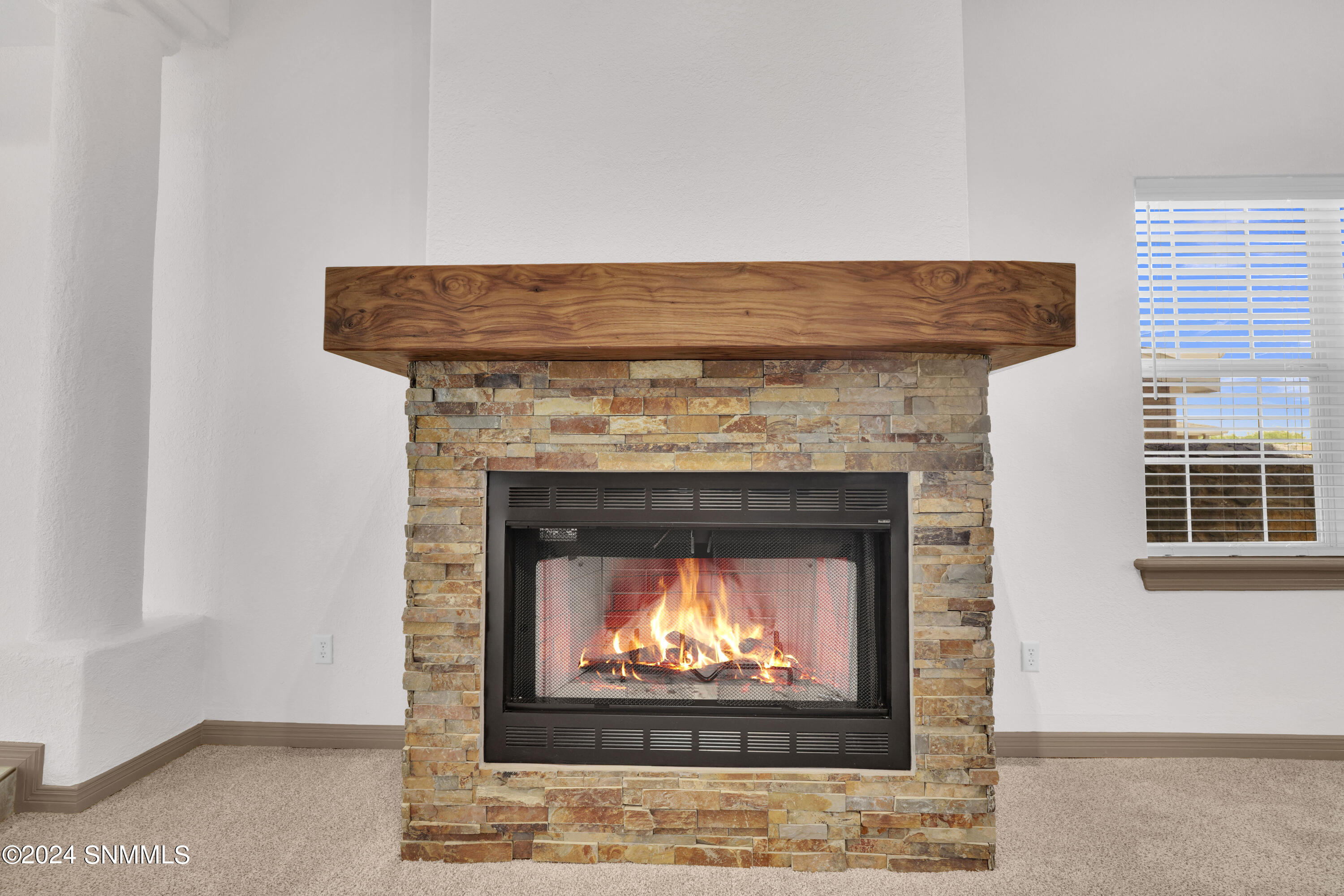 4610 Rock Canyon Loop Property Photo 7