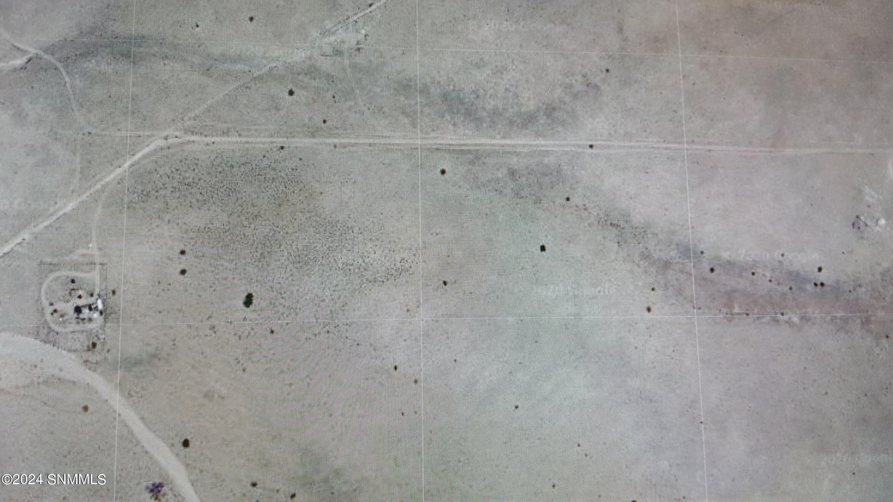 10 Nieto Property Photo 5