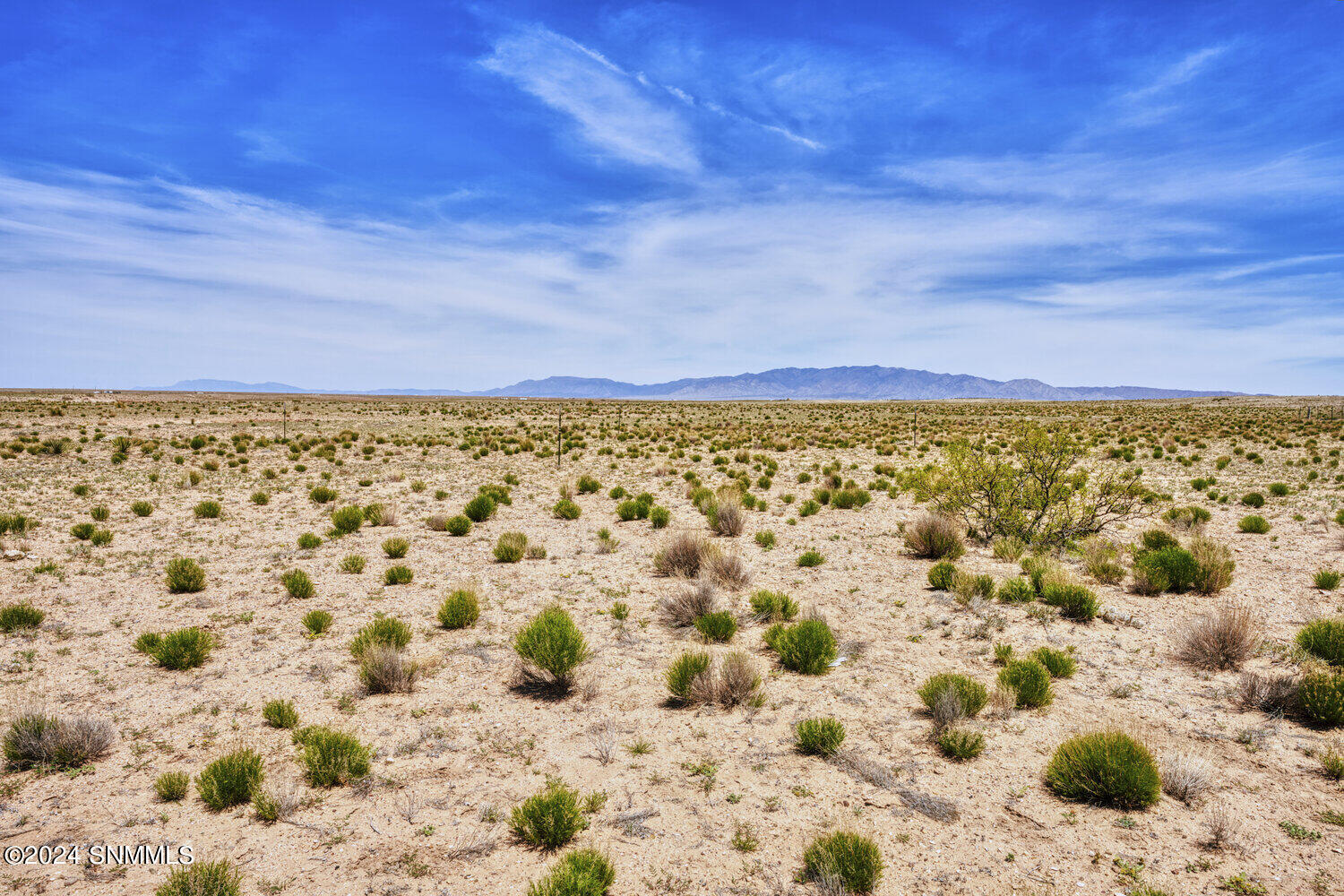 10 Nieto Property Photo 6