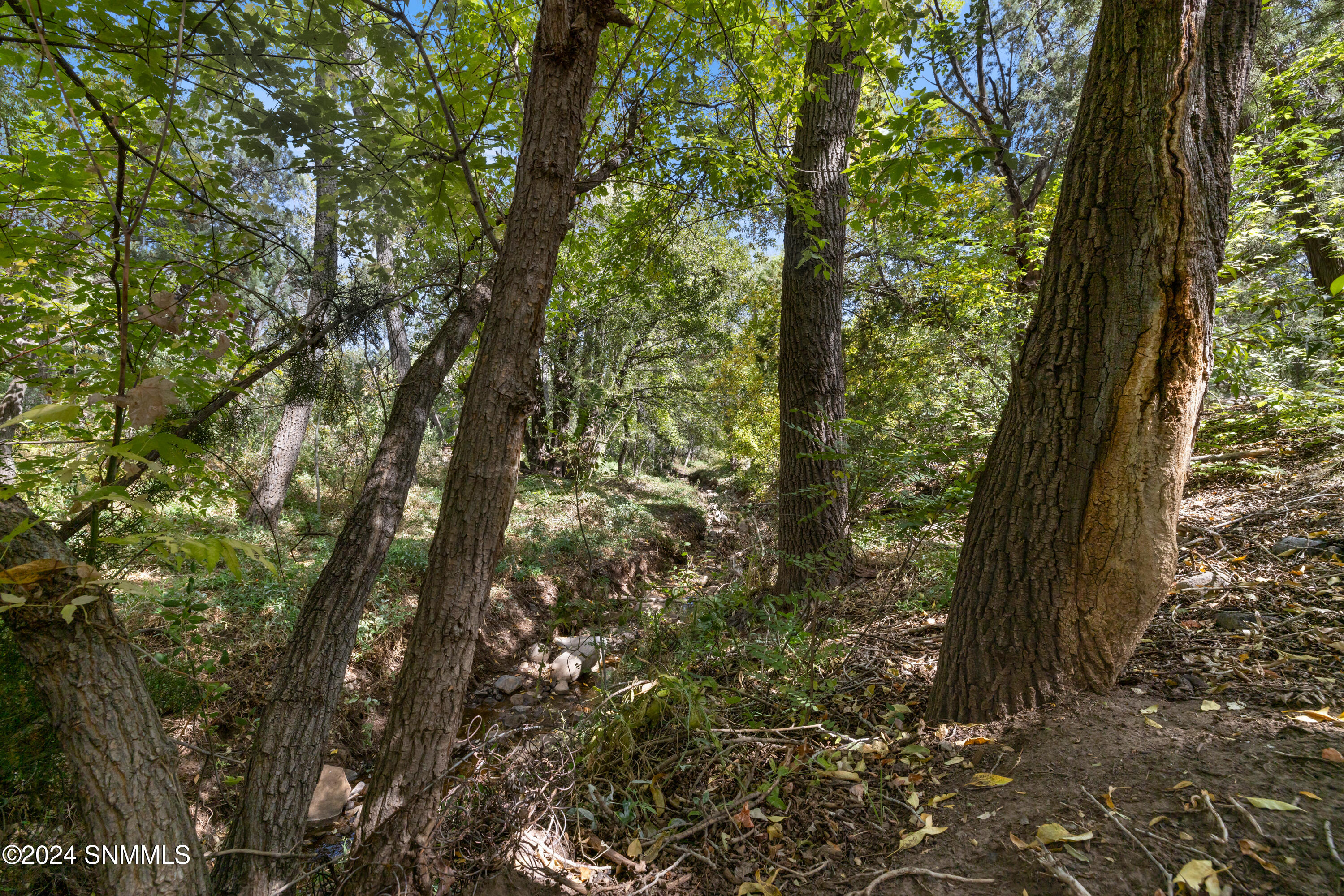 6 Kingston North Street Property Photo 55