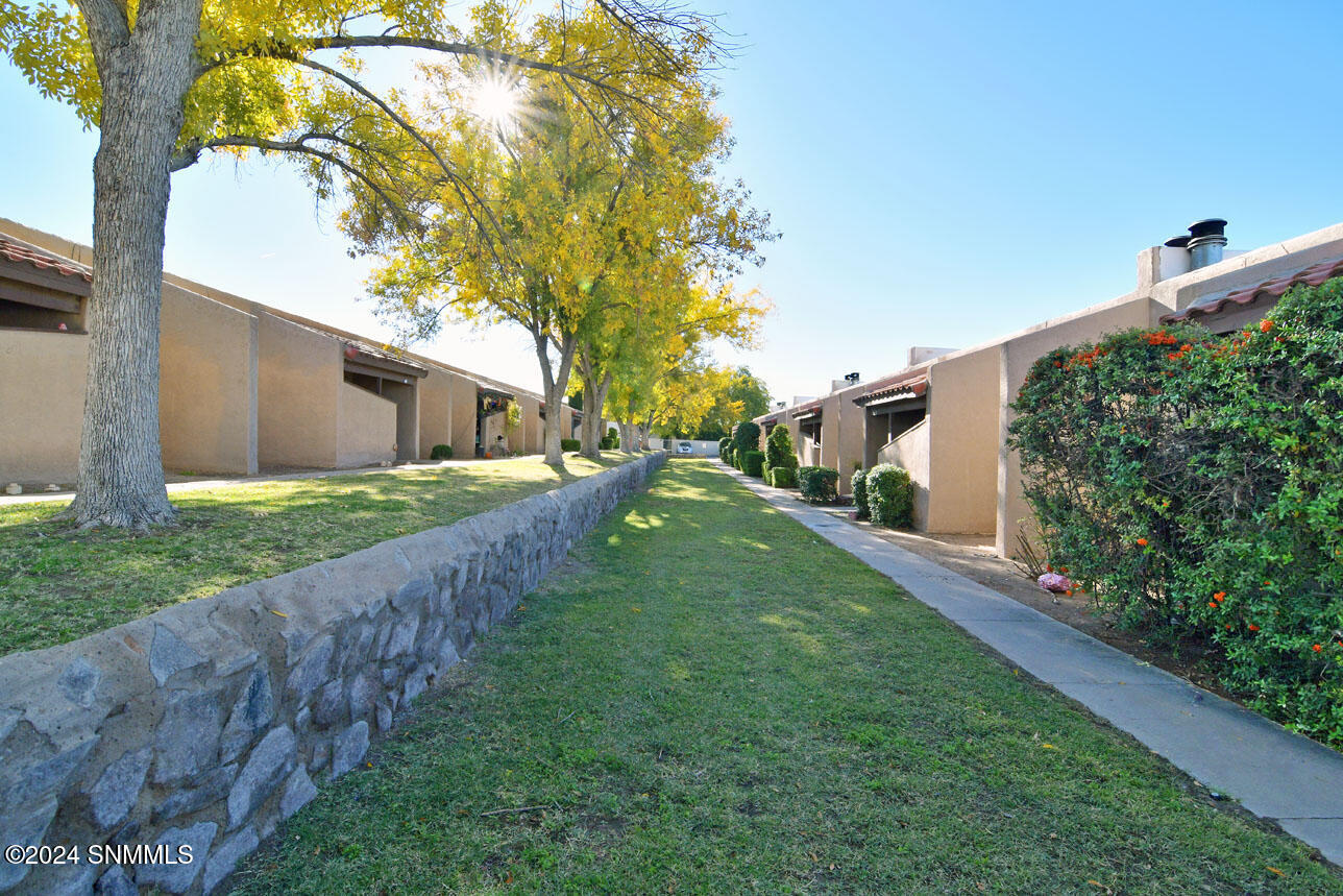 1345 E Branson Avenue 4b Property Photo 3