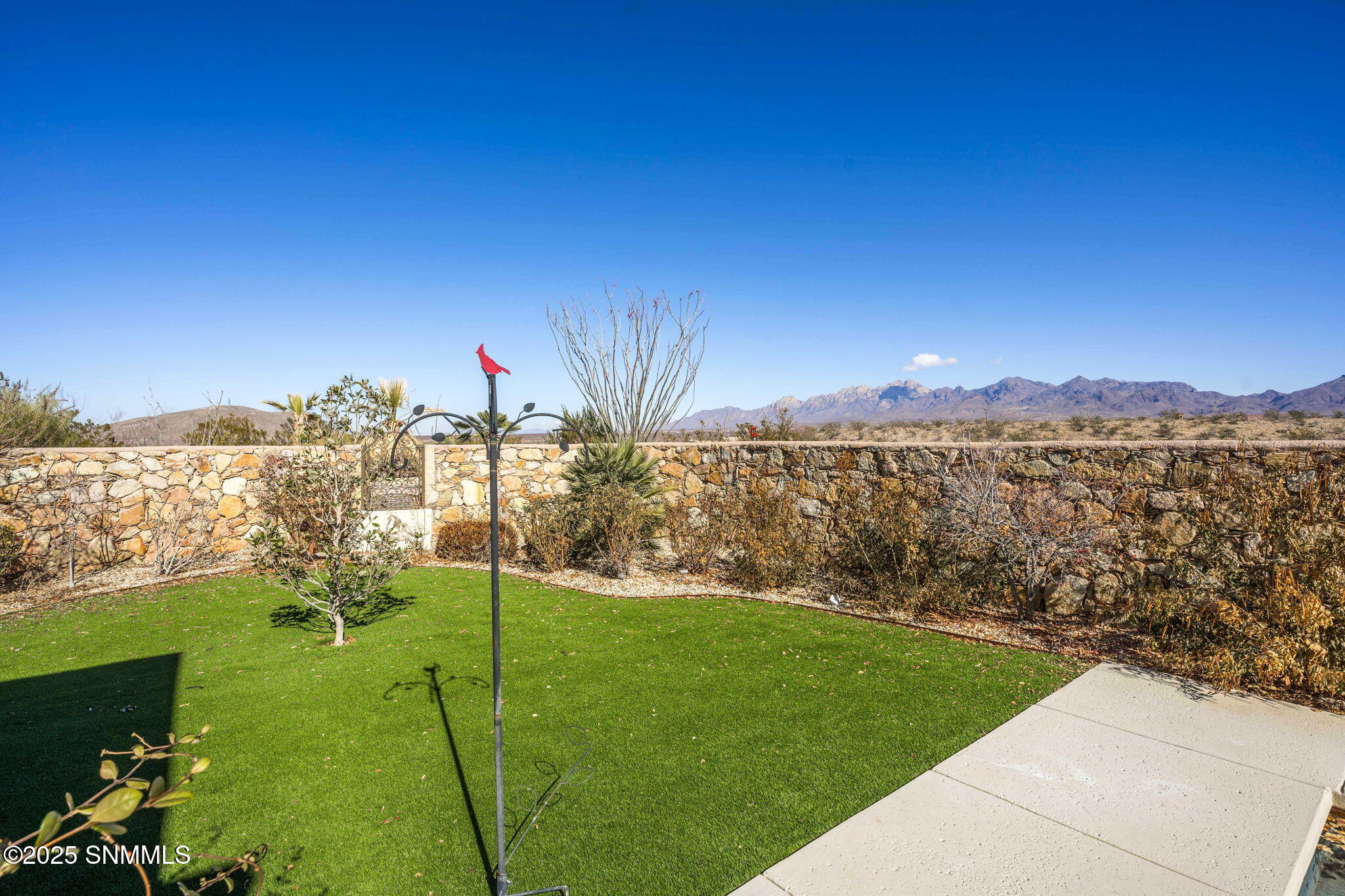 6816 Lazo Del Norte Property Photo 64