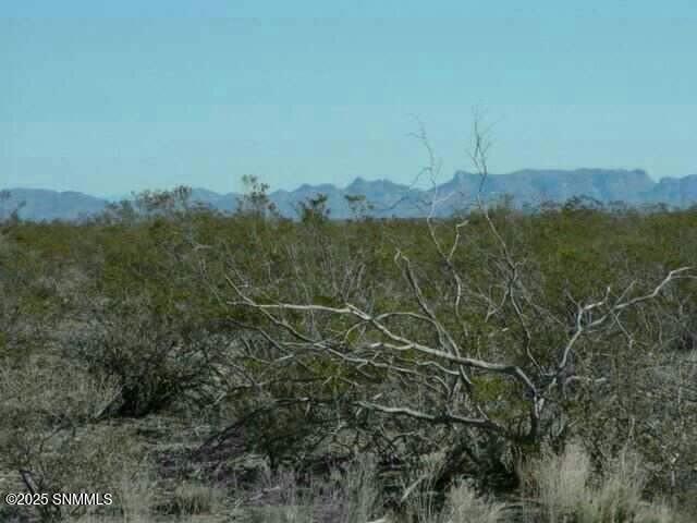 21 Calle De Ranchos Road Property Photo 5