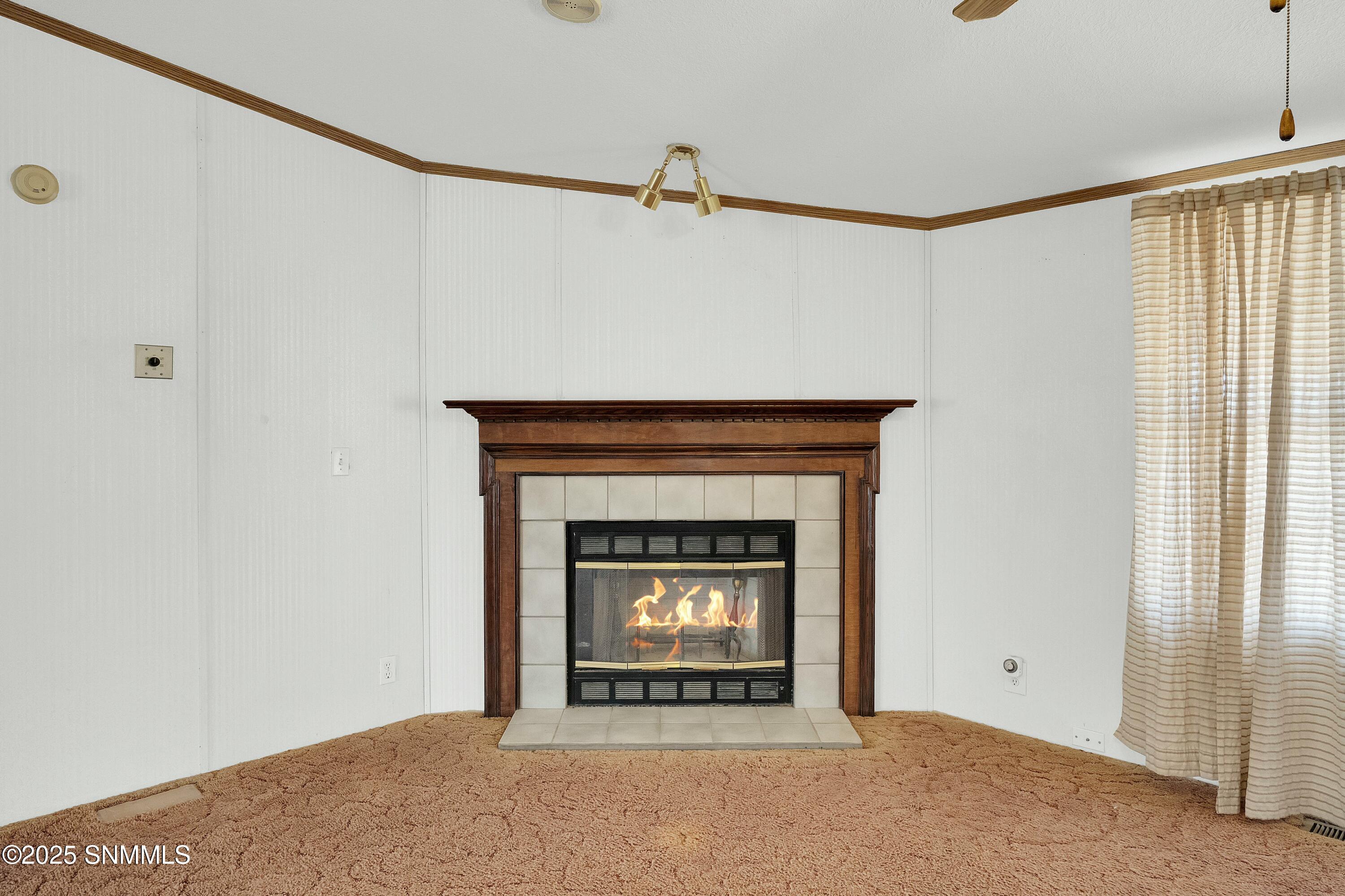615 W Ojito De Madrid Drive Property Photo 27