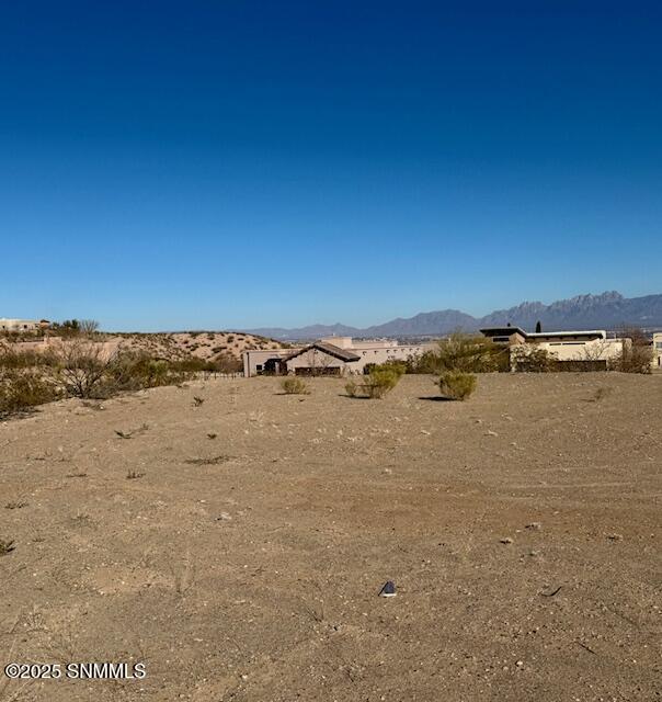 1657 Calle Murillo Property Photo 8