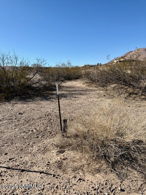 1657 Calle Murillo Property Photo 11