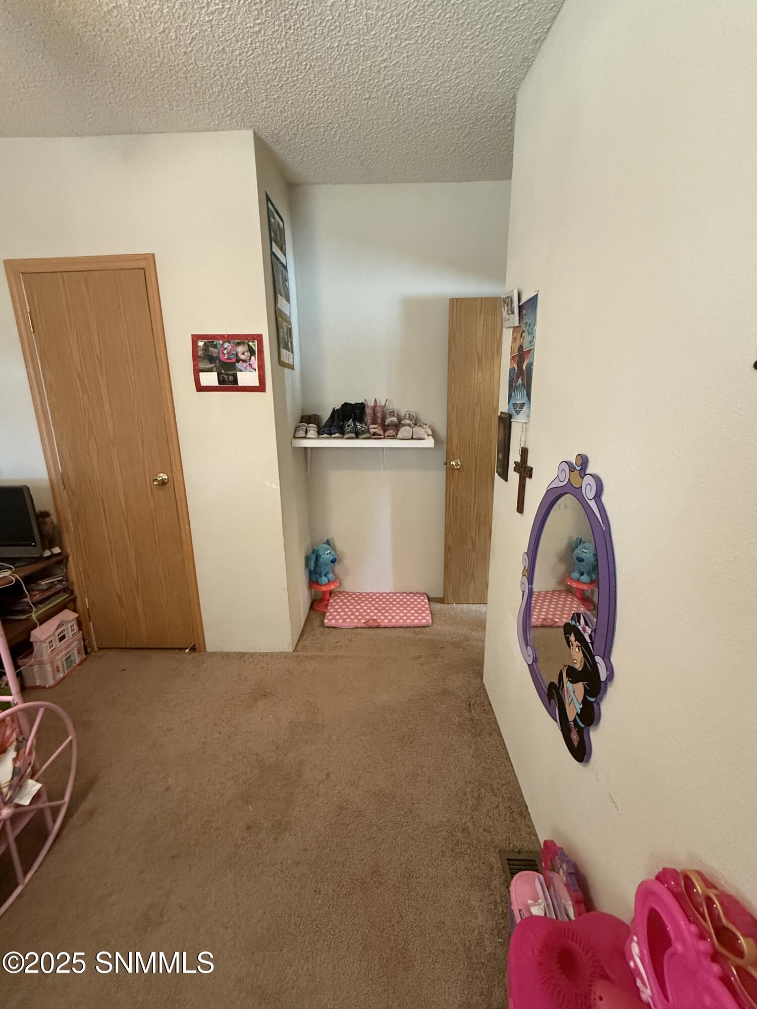 29 Amy Road Property Photo 42