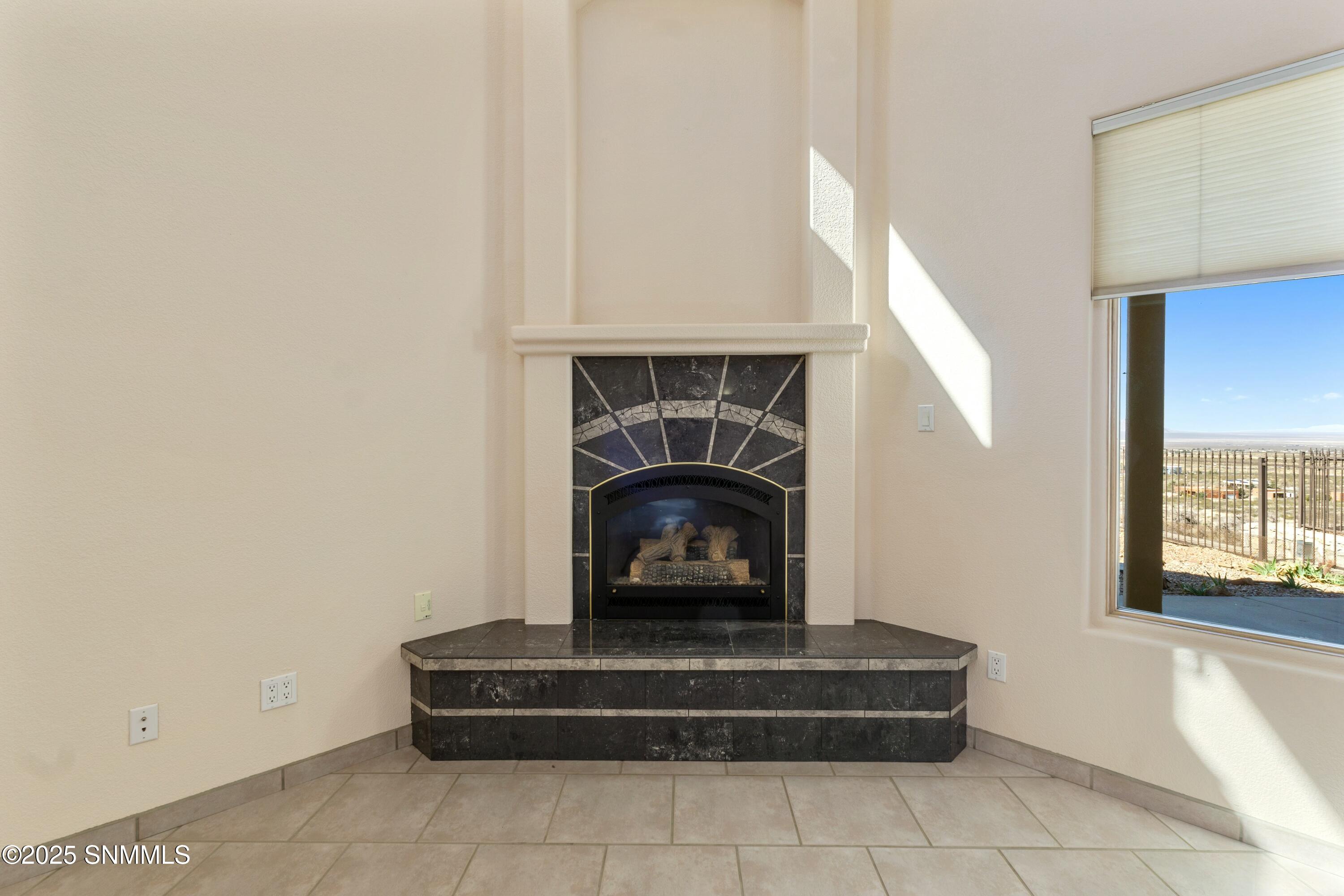 15554 Space Murals Lane Property Photo 18