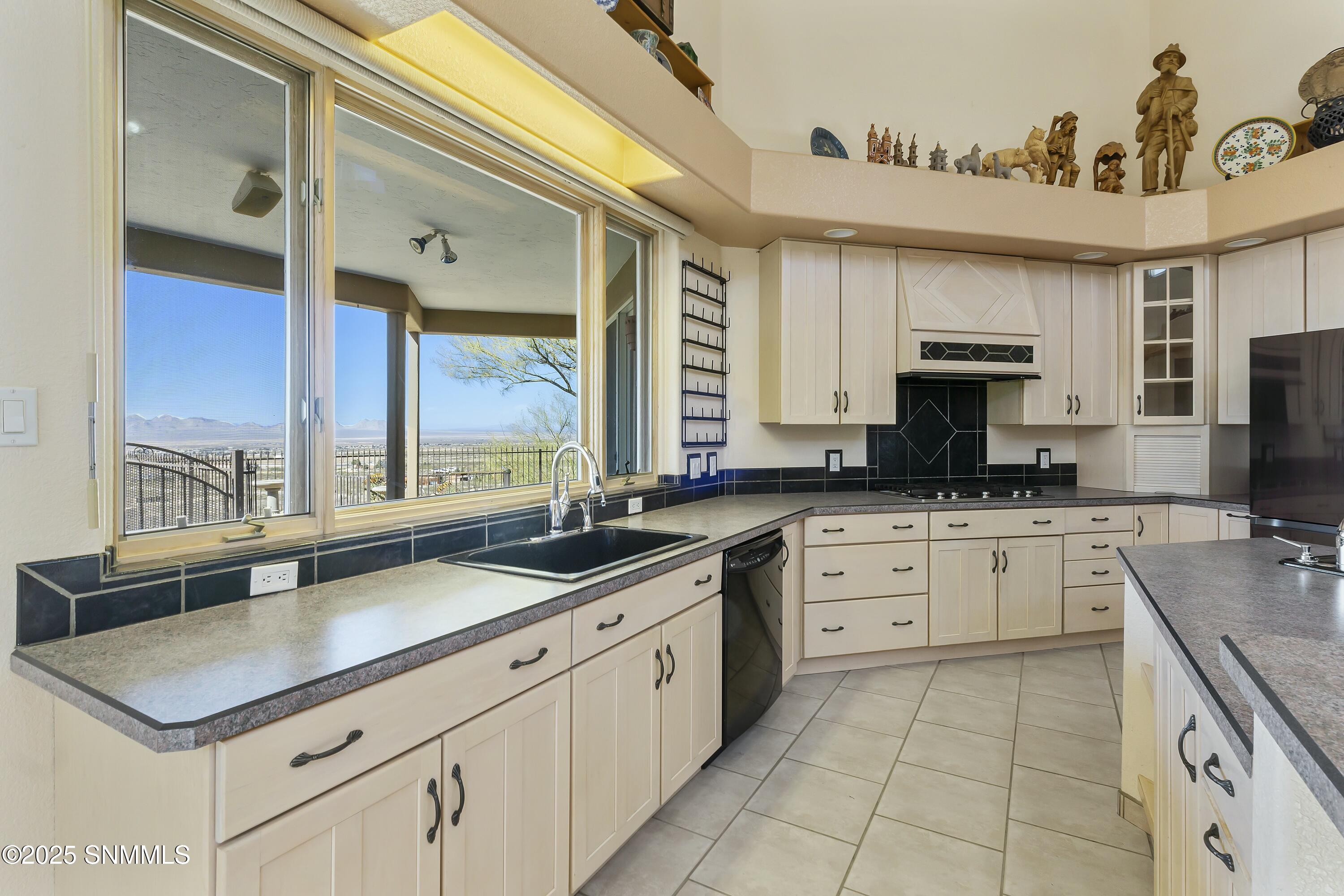 15554 Space Murals Lane Property Photo 24