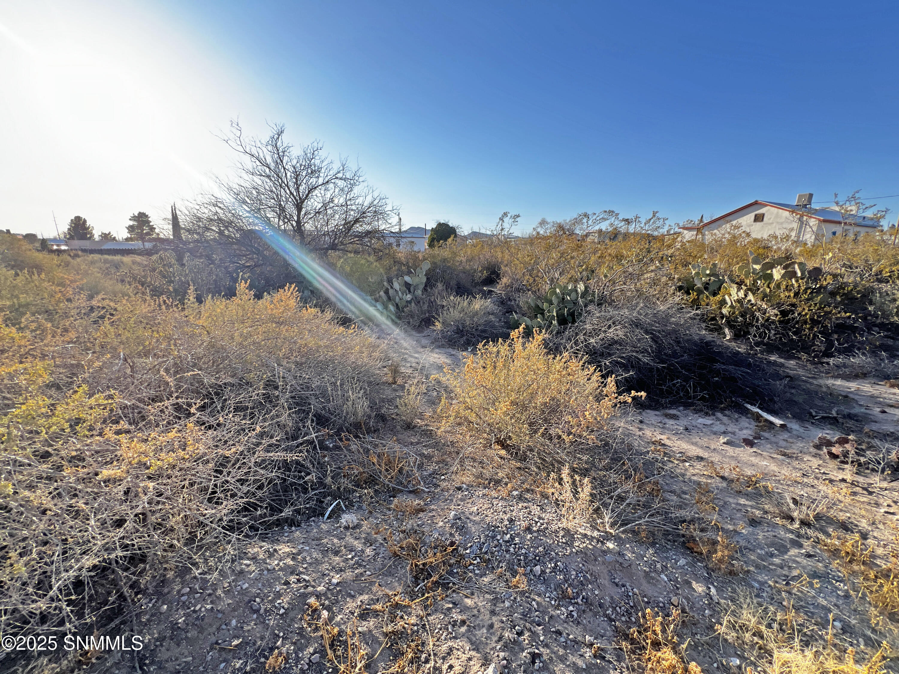 507 N Maple Street Property Photo