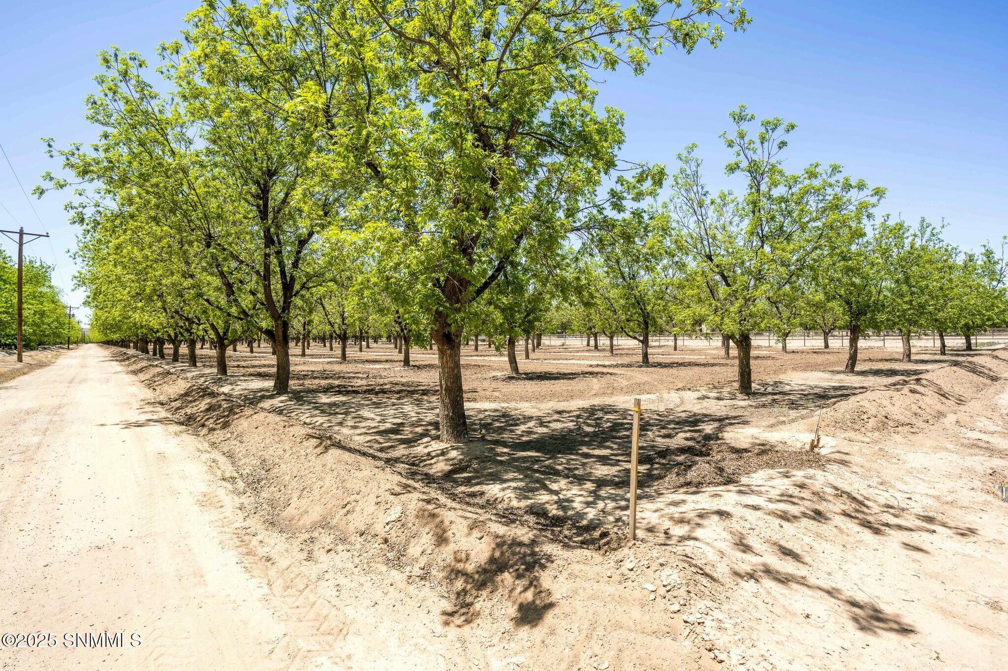 Dimatteo Summary Subdivision Real Estate Listings Main Image