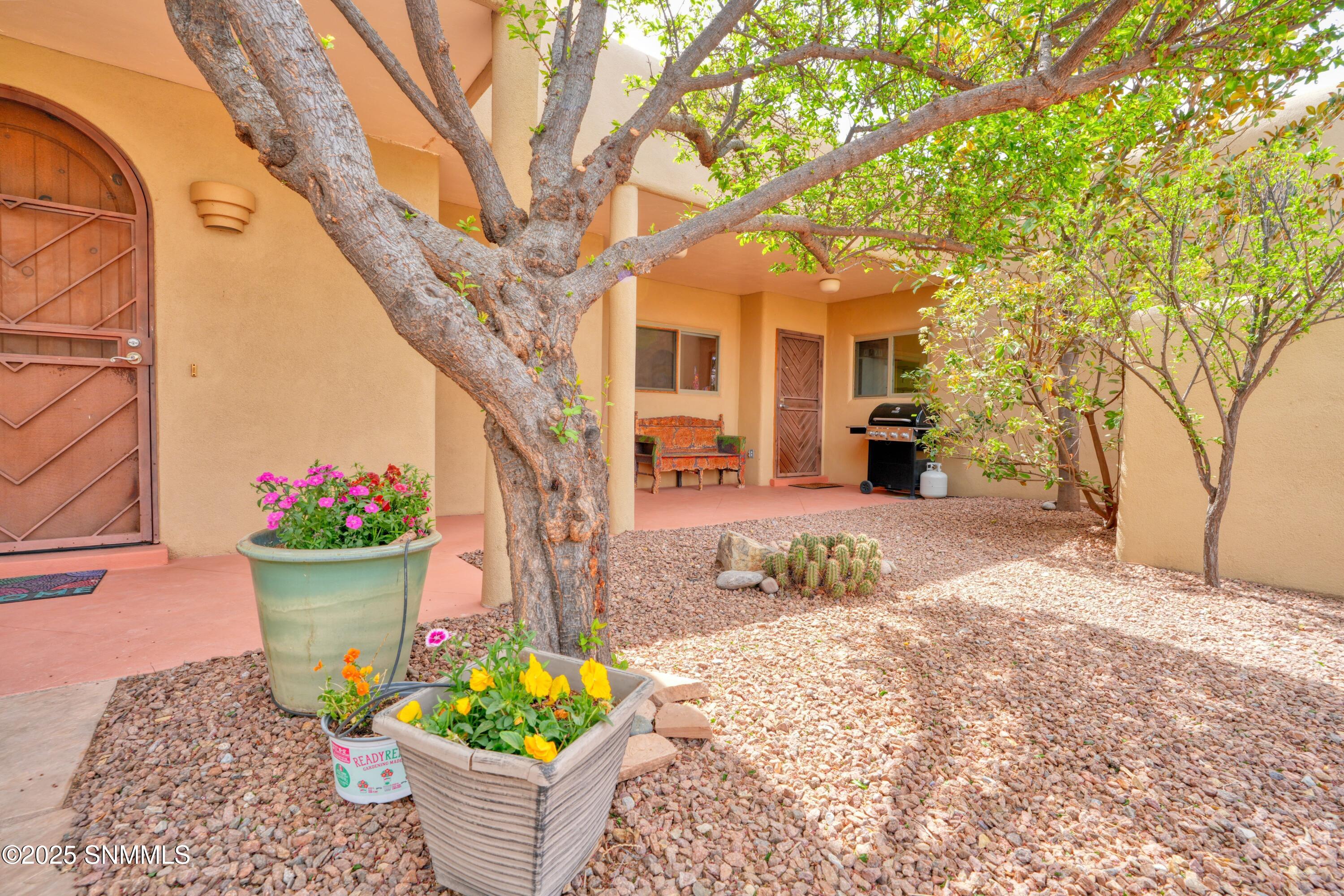 1334 Vista Del Cerro Property Photo 4