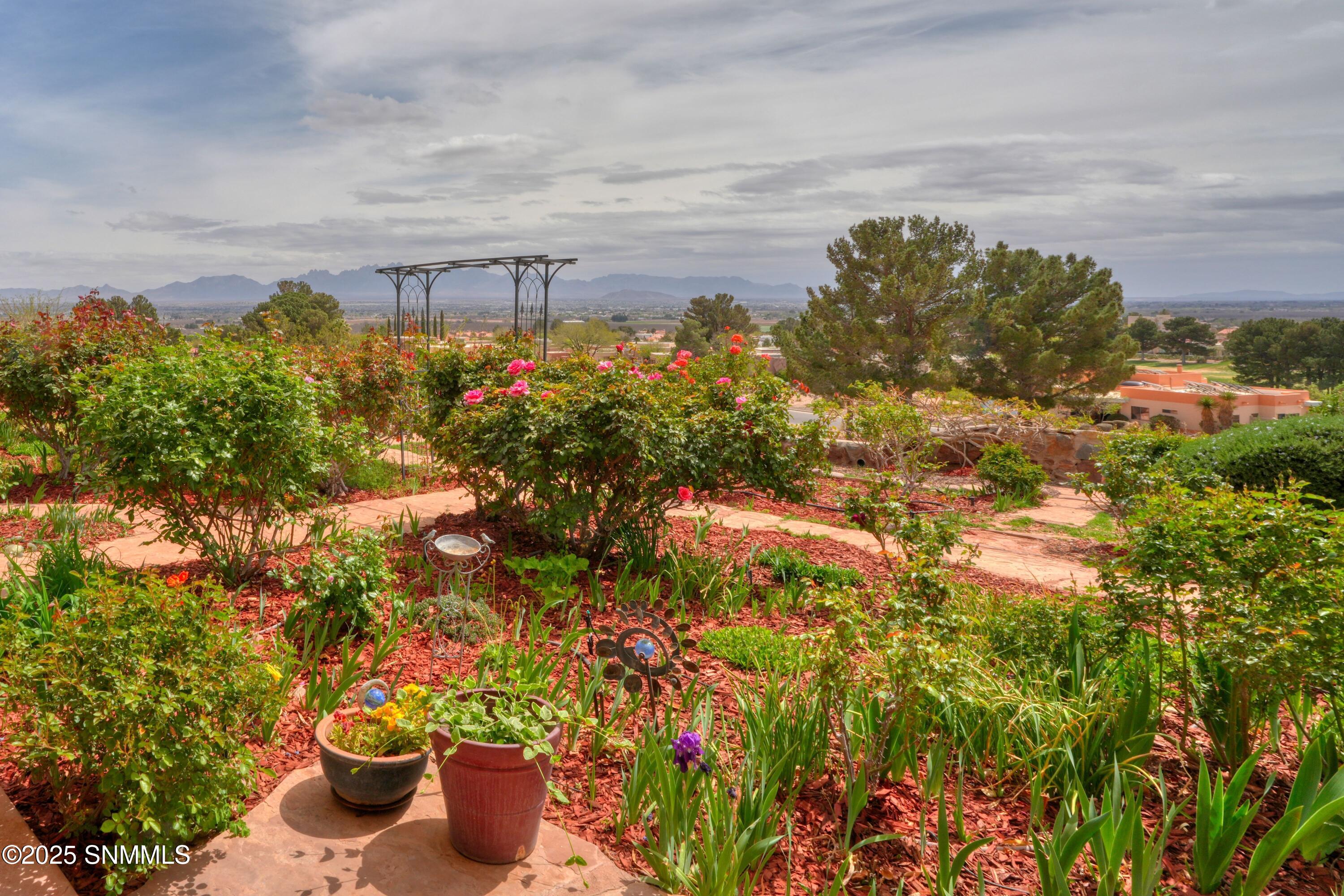 1334 Vista Del Cerro Property Photo 45