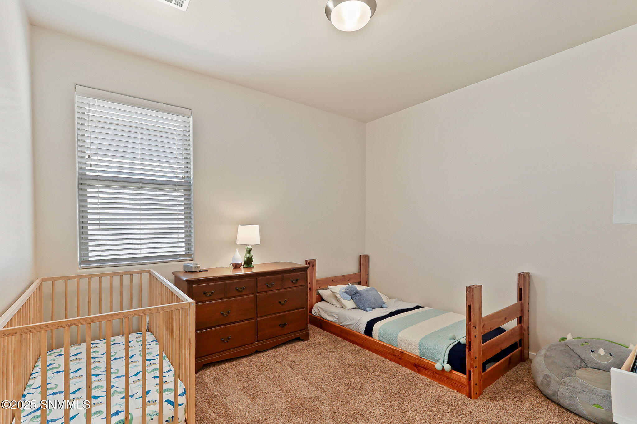 4729 Powder River Drive Property Photo 23