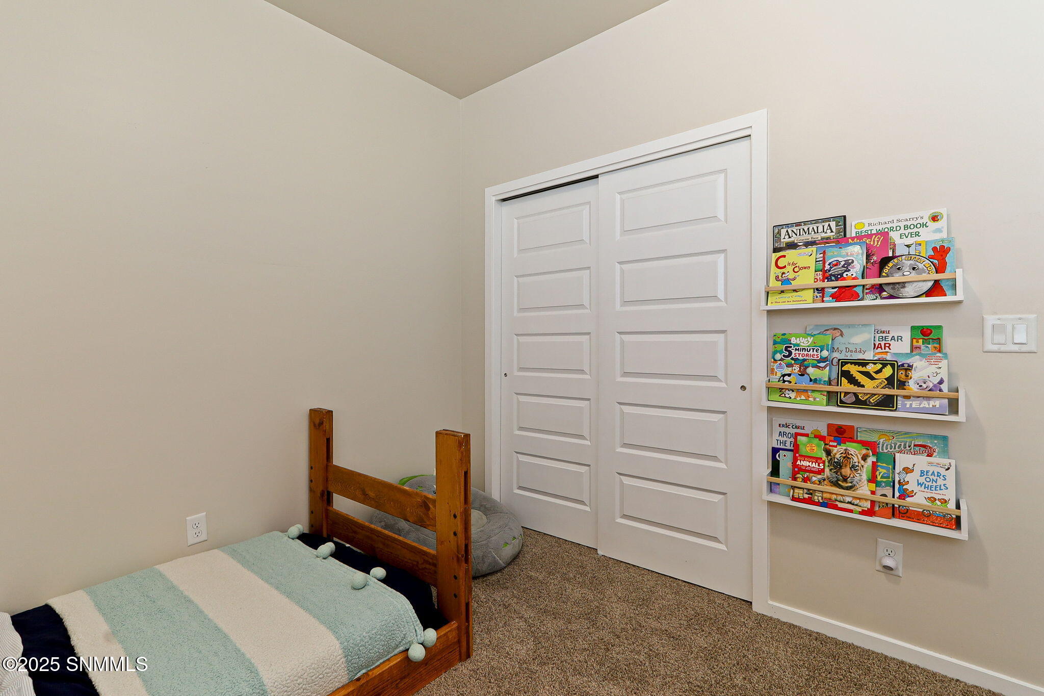4729 Powder River Drive Property Photo 24