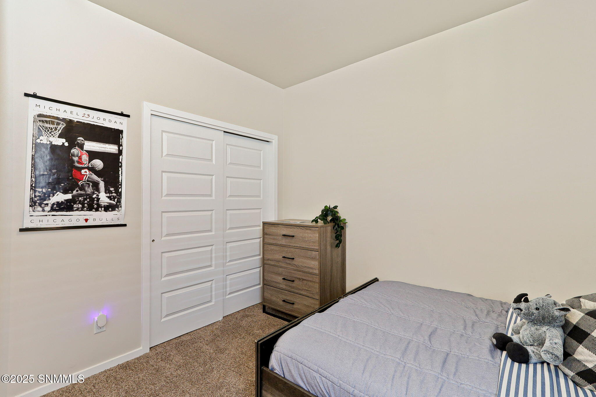 4729 Powder River Drive Property Photo 26