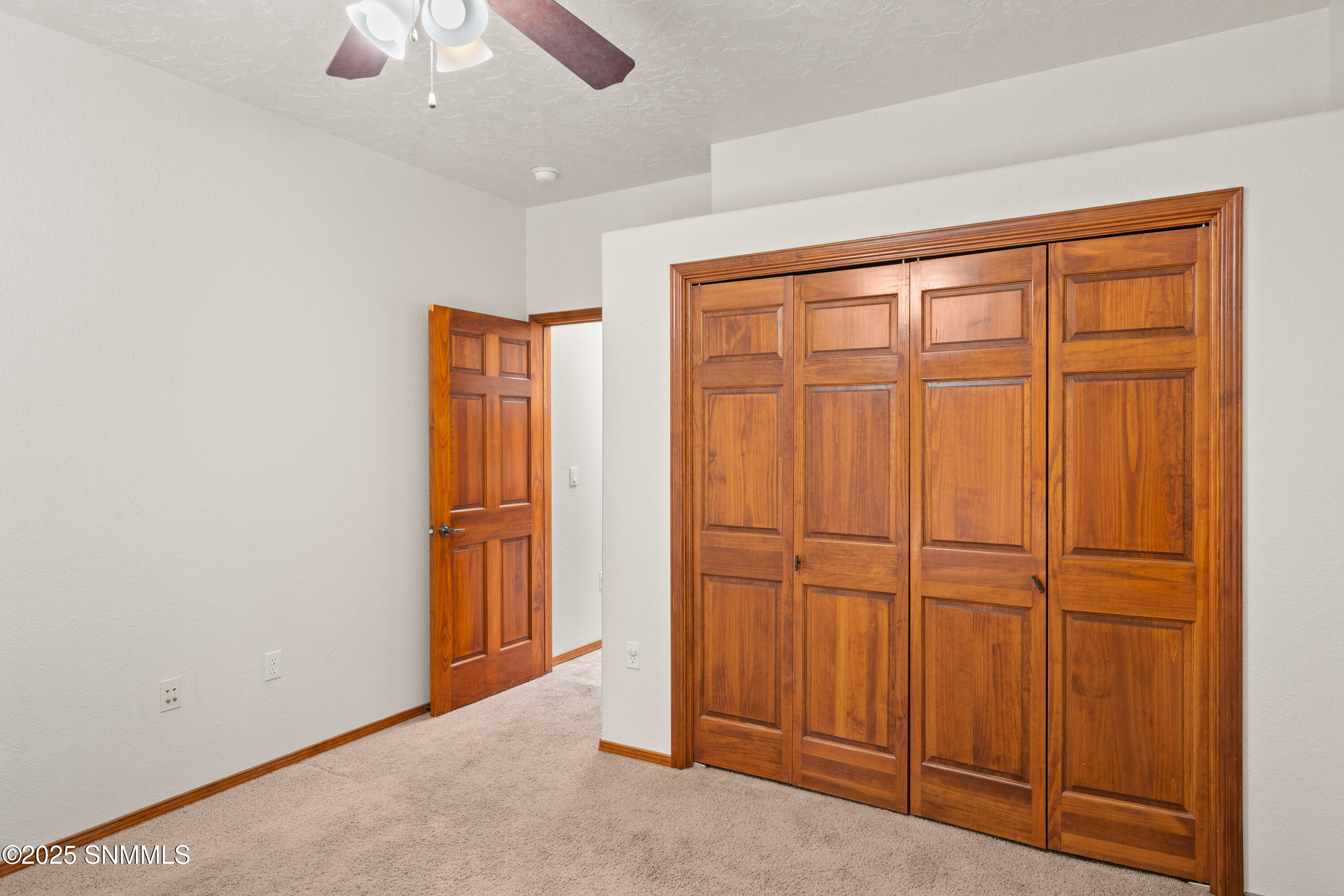 2045 Southern Star Loop Property Photo 29