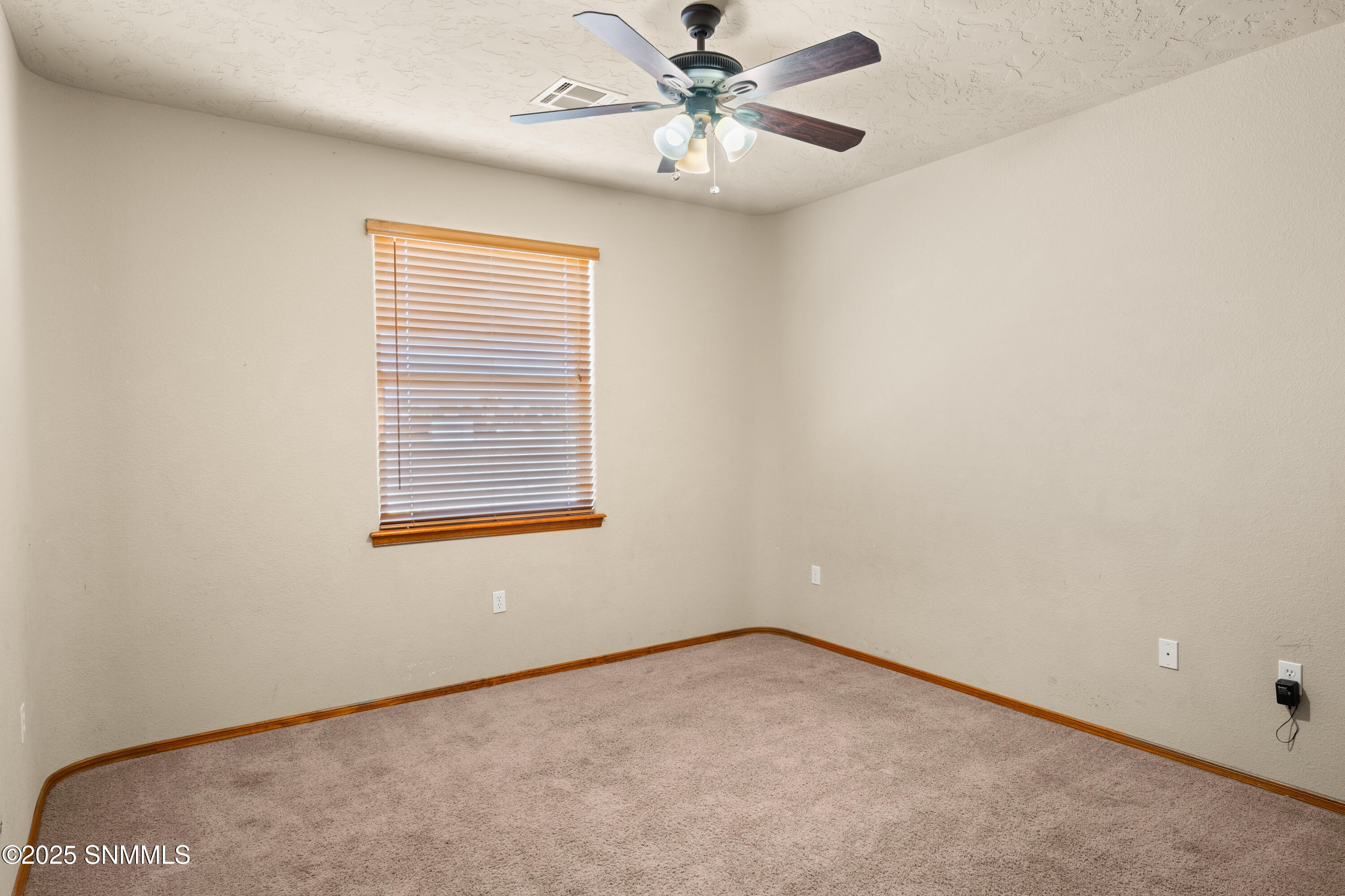 2045 Southern Star Loop Property Photo 34