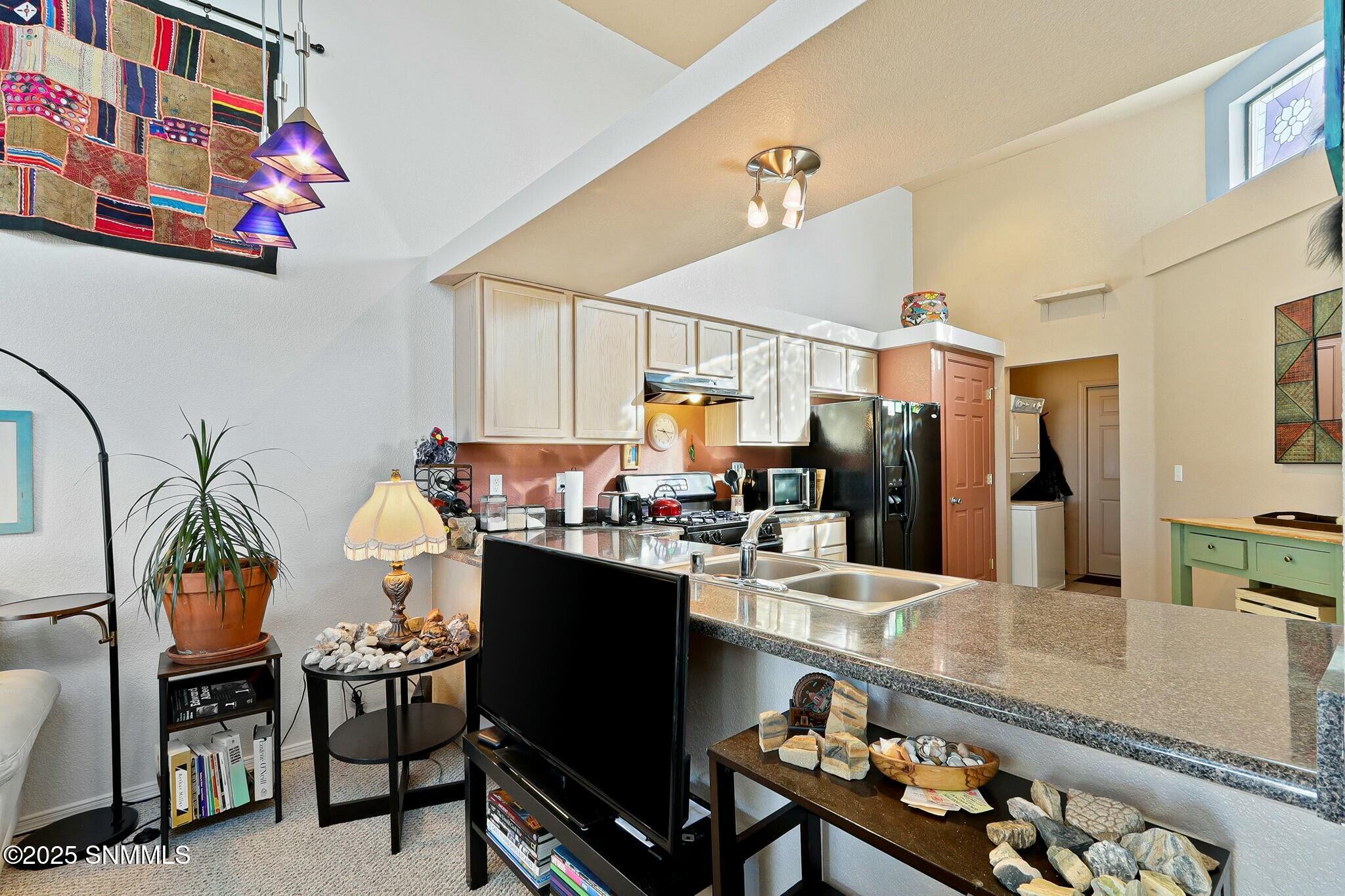 2171 Foxtail Pine Drive Property Photo 16