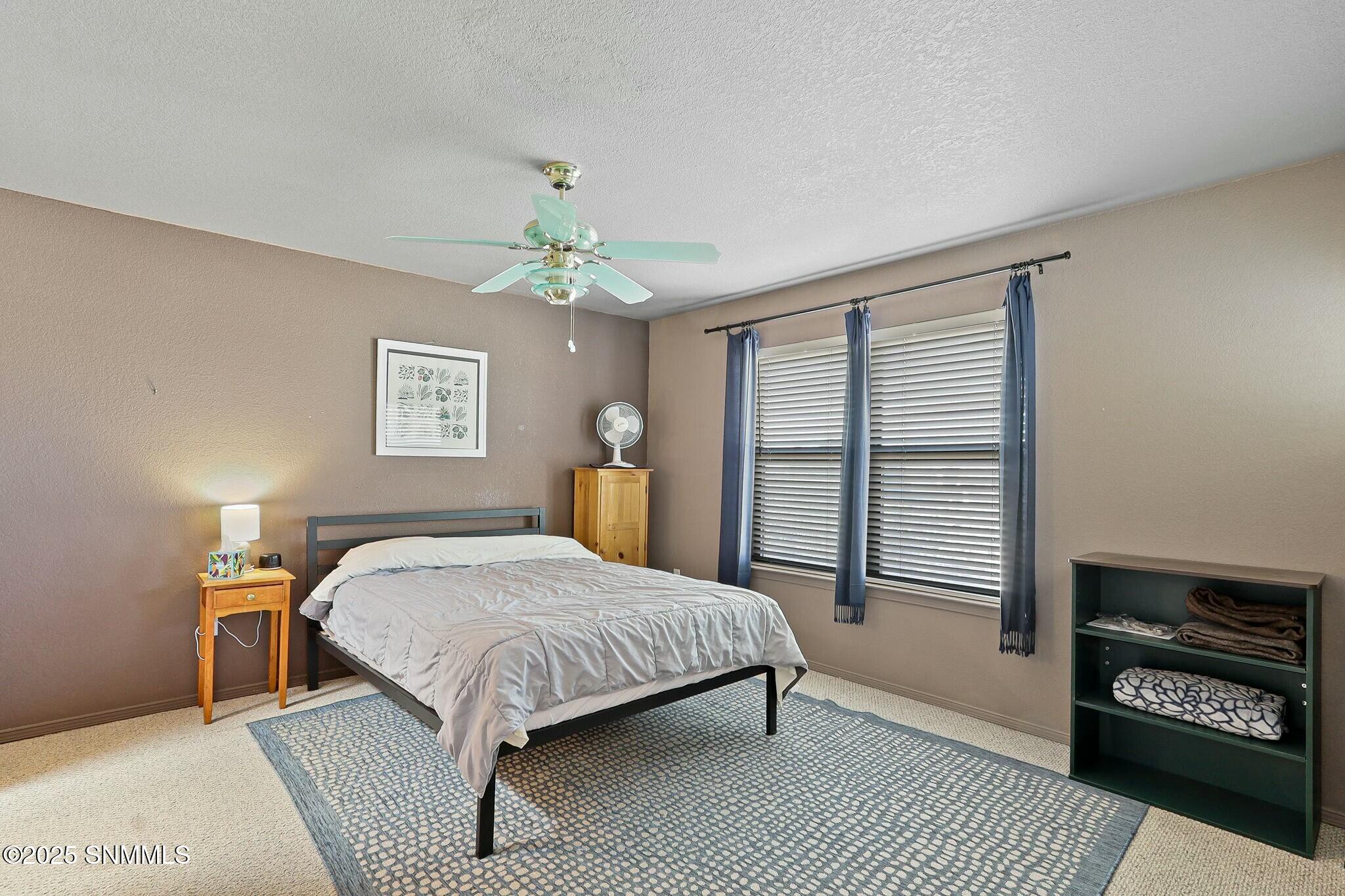 2171 Foxtail Pine Drive Property Photo 27