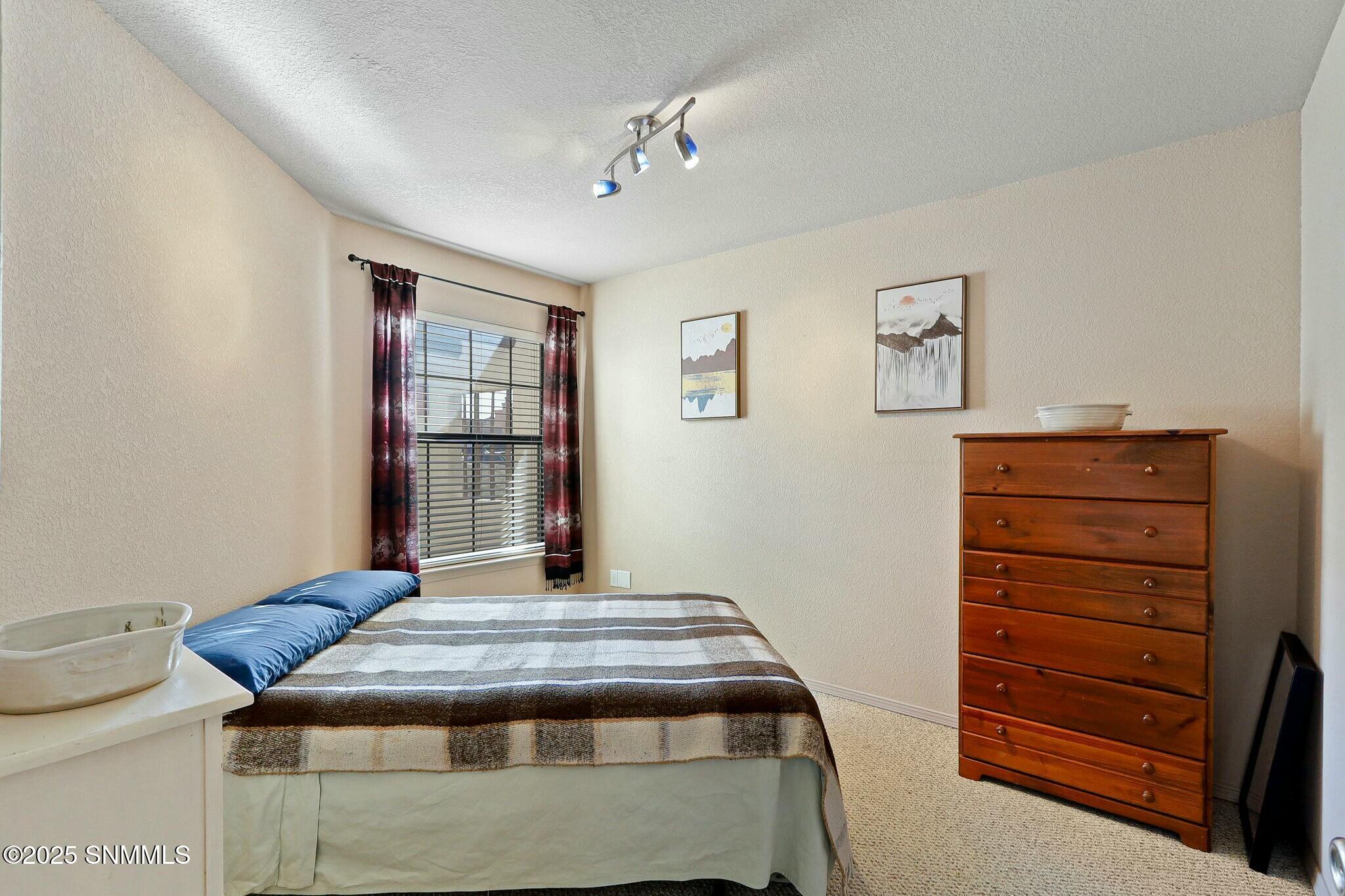 2171 Foxtail Pine Drive Property Photo 41
