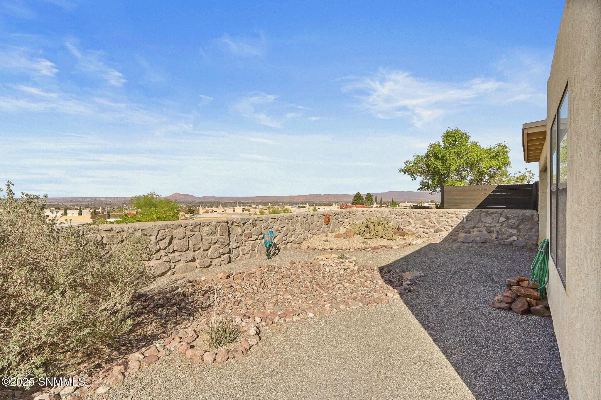 2171 Foxtail Pine Drive Property Photo 46