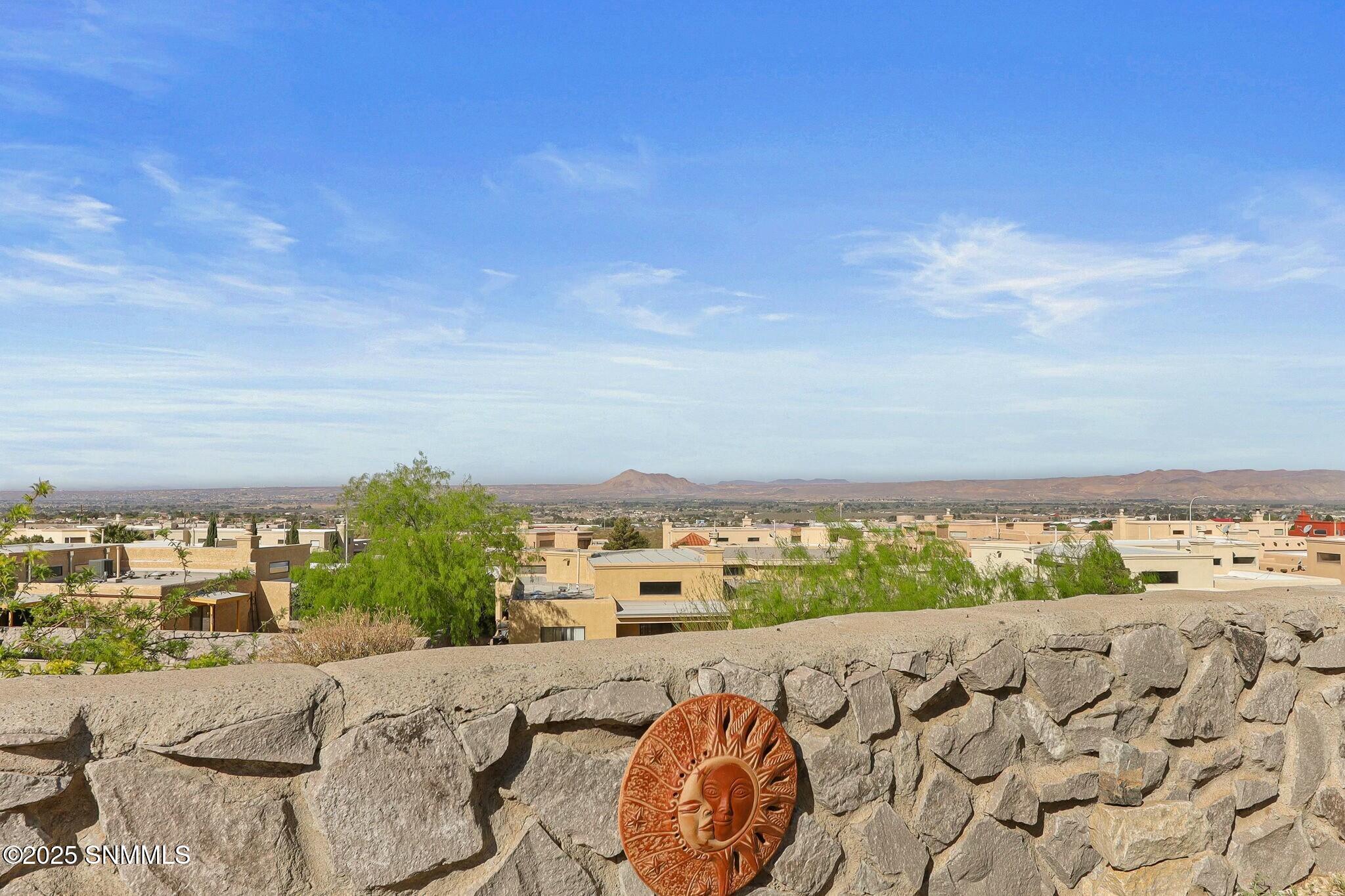 2171 Foxtail Pine Drive Property Photo 48