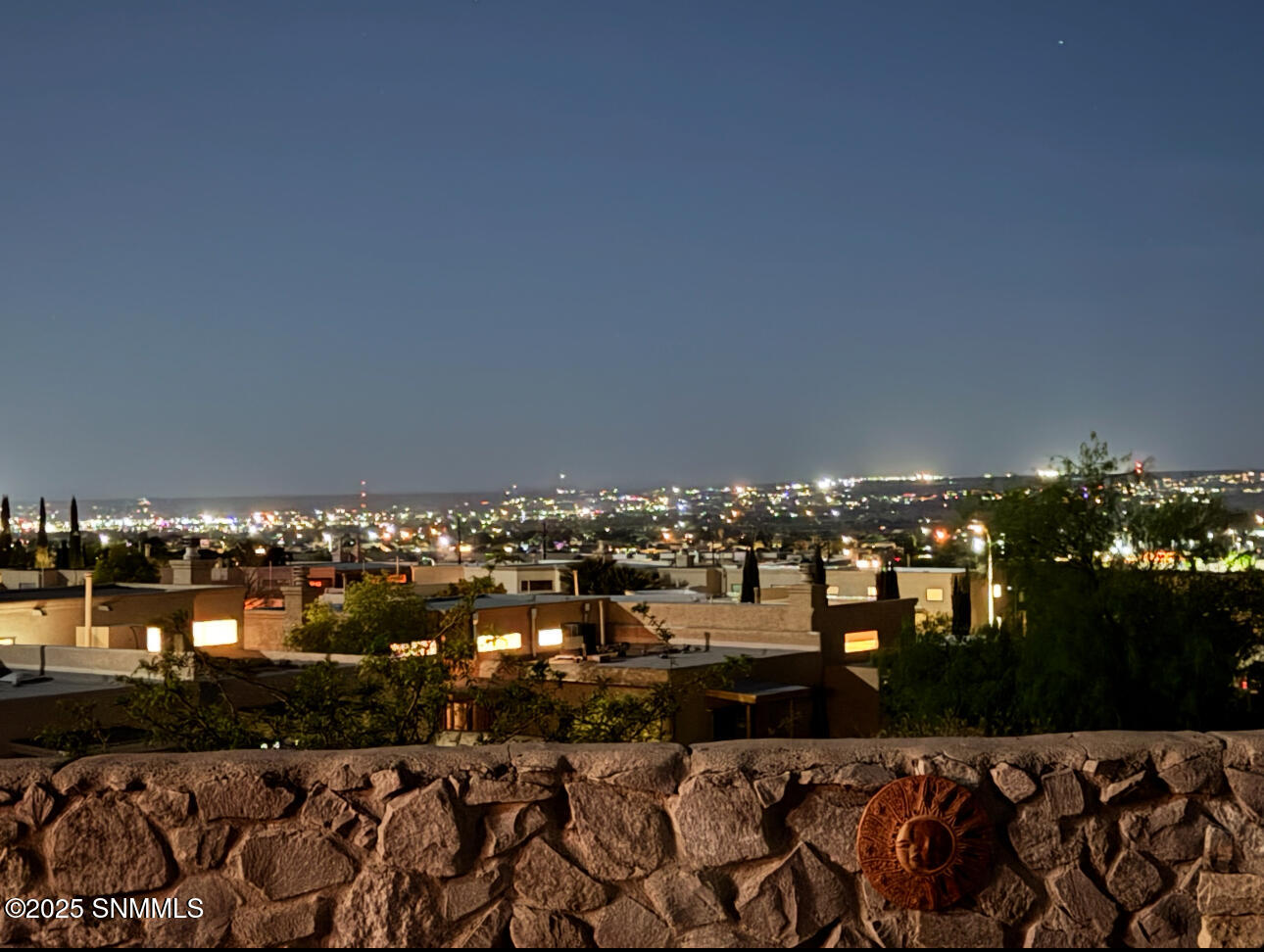 2171 Foxtail Pine Drive Property Photo 61