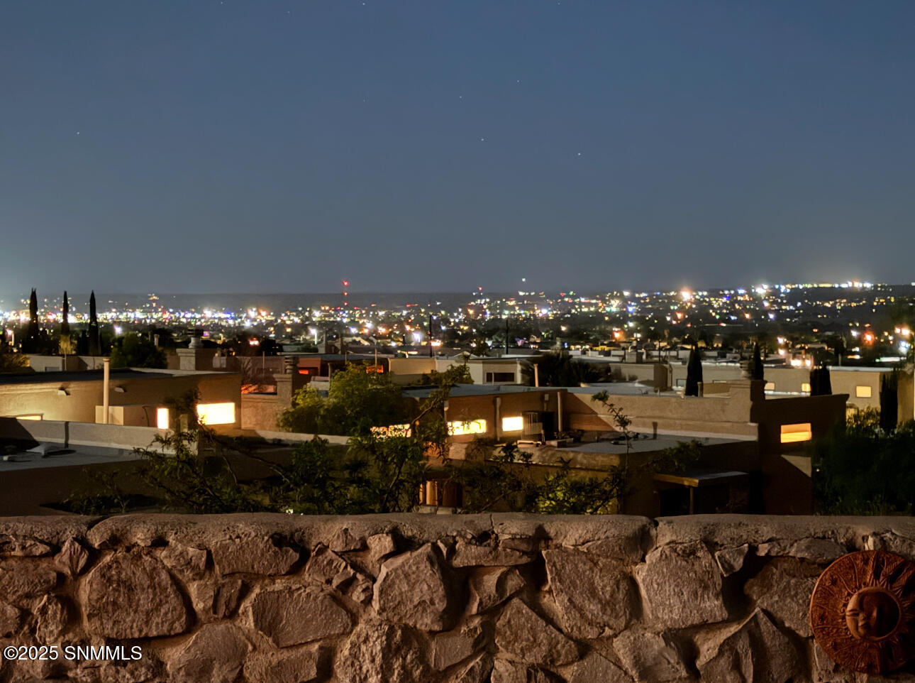 2171 Foxtail Pine Drive Property Photo 81