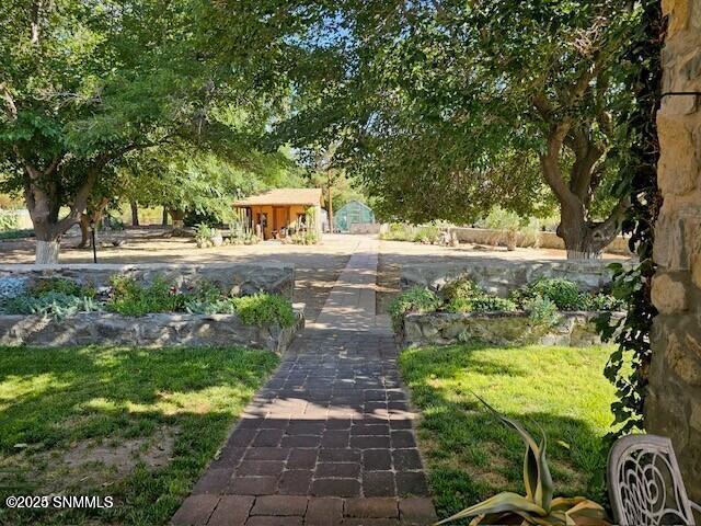 2561 Mesilla Hills Drive Property Photo 31