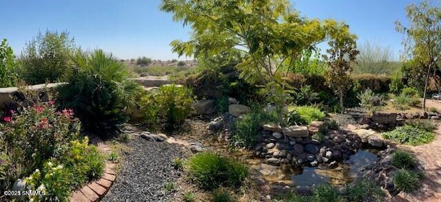 2561 Mesilla Hills Drive Property Photo 46