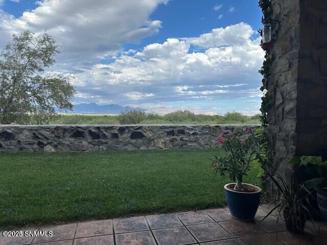 2561 Mesilla Hills Drive Property Photo 52