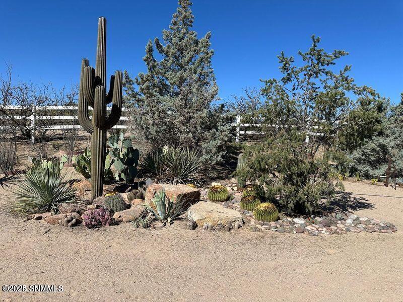 2561 Mesilla Hills Drive Property Photo 53