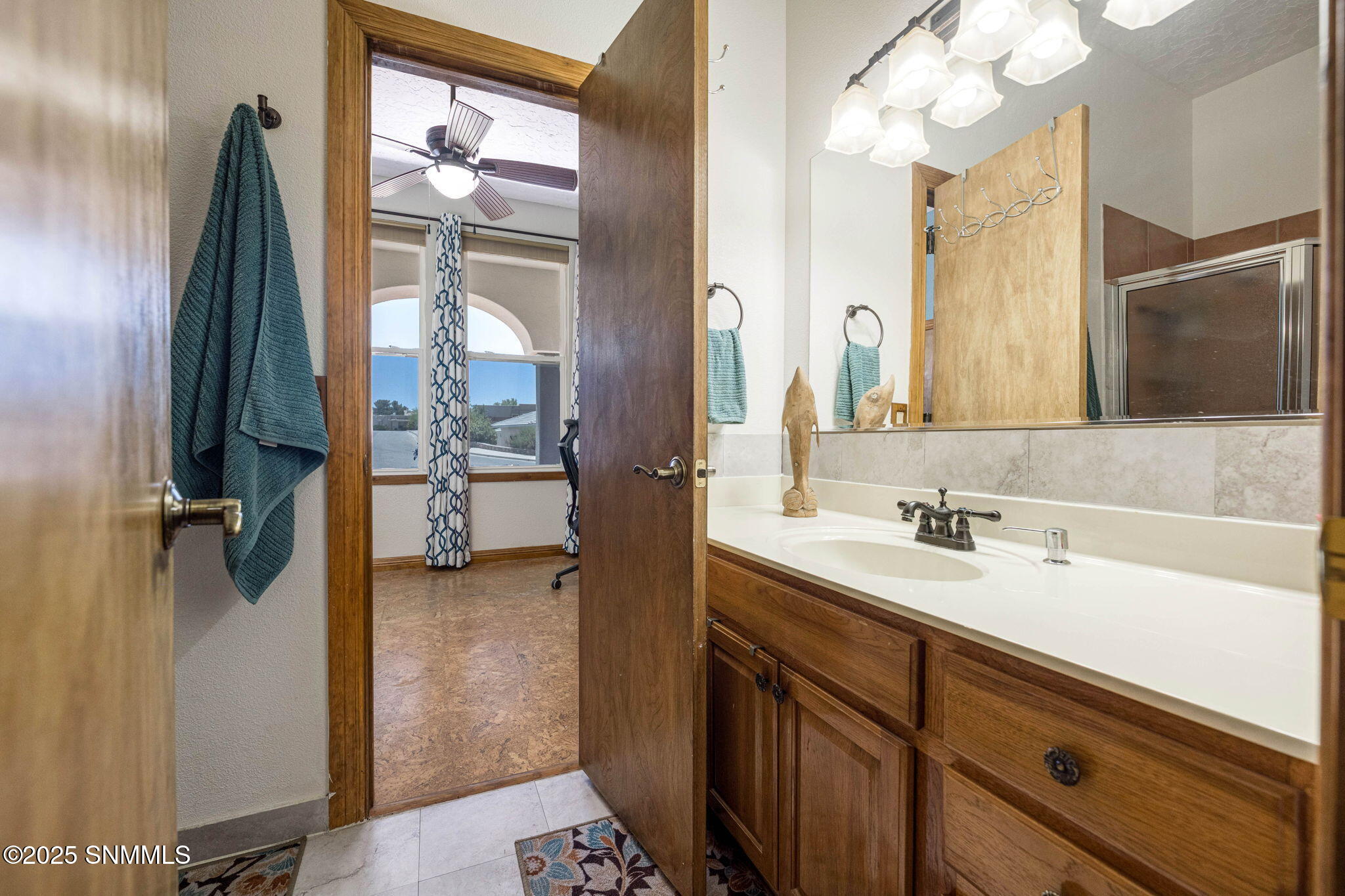2898 Diamond Springs Drive Property Photo 46