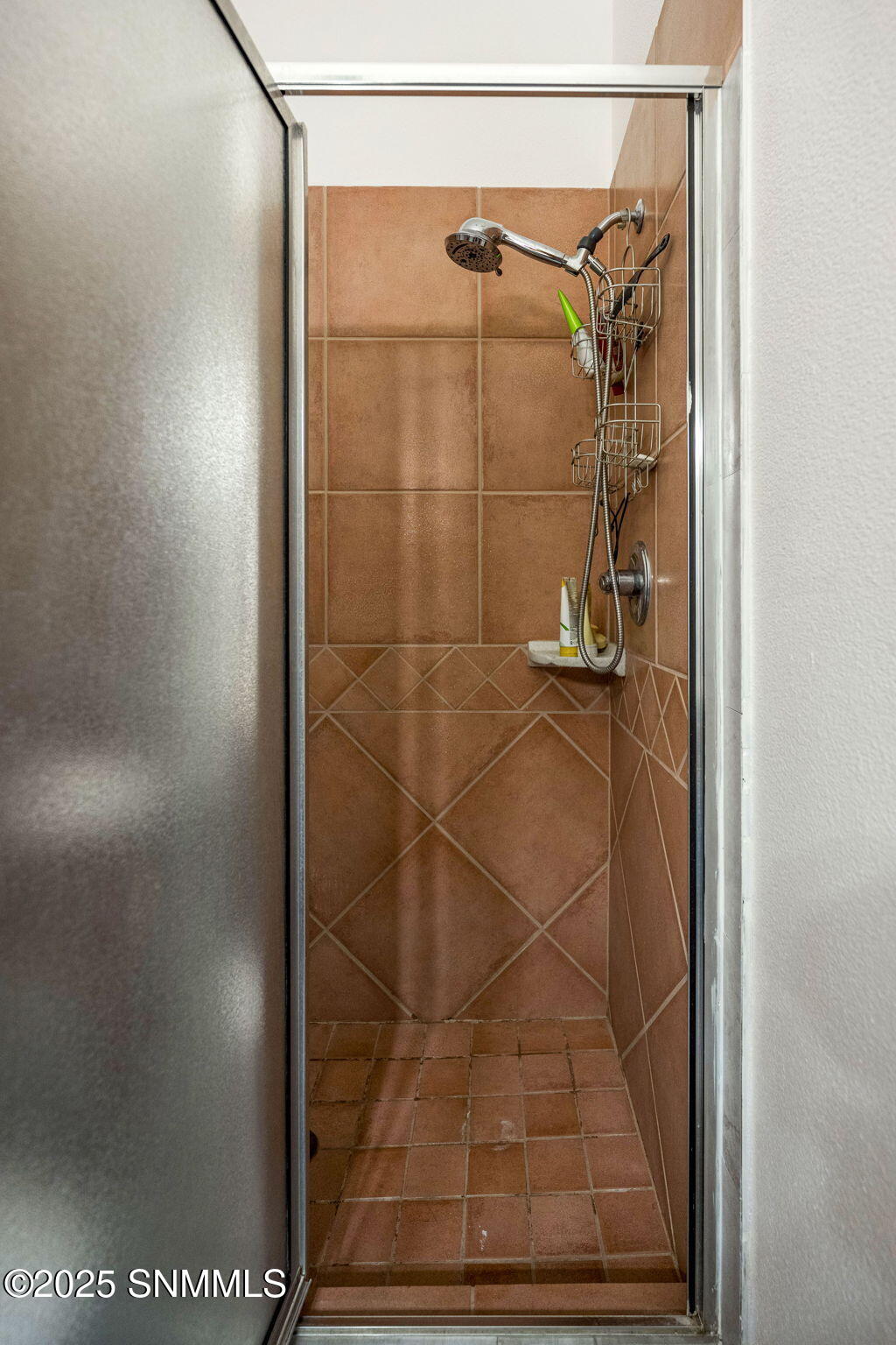 2898 Diamond Springs Drive Property Photo 47