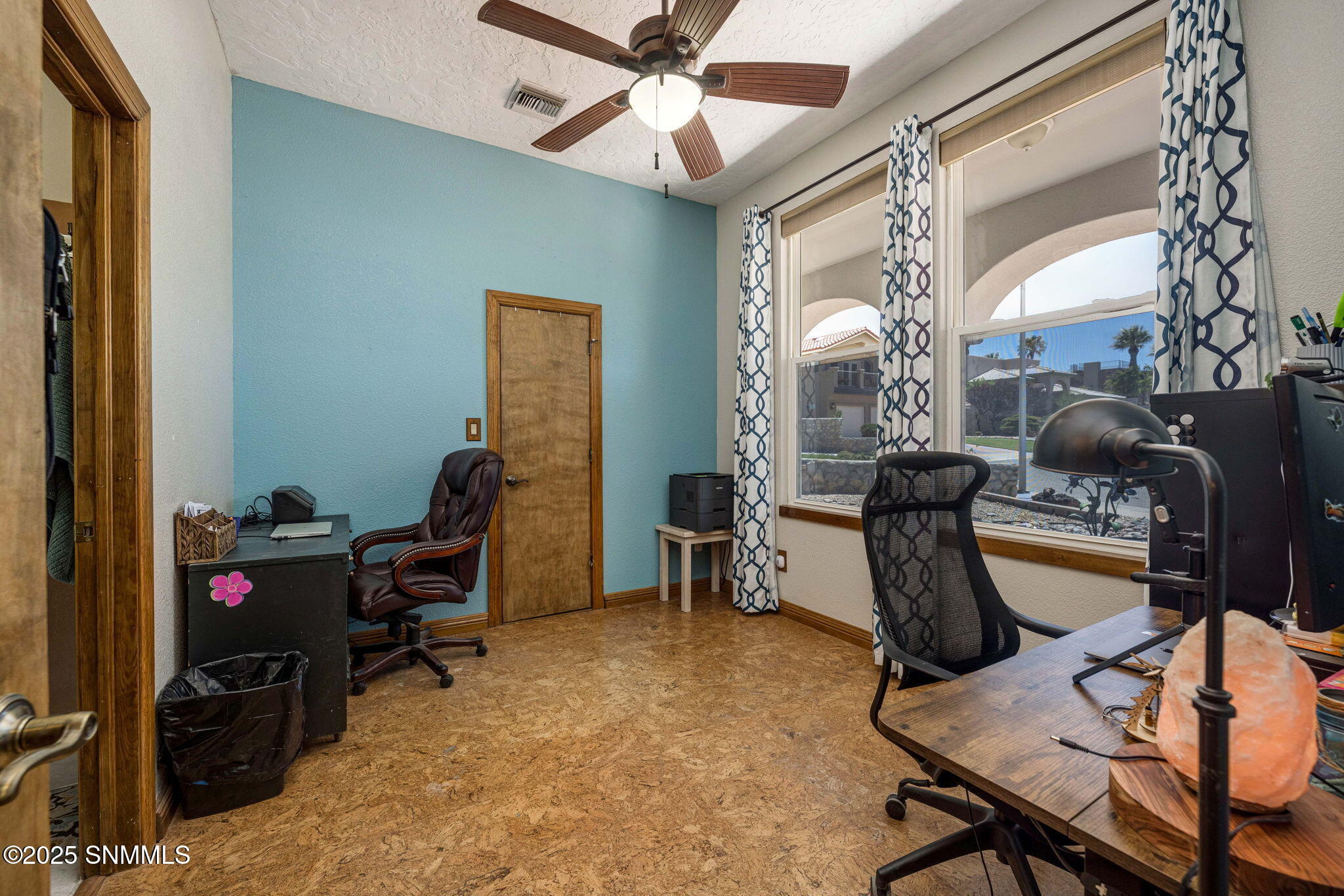 2898 Diamond Springs Drive Property Photo 48