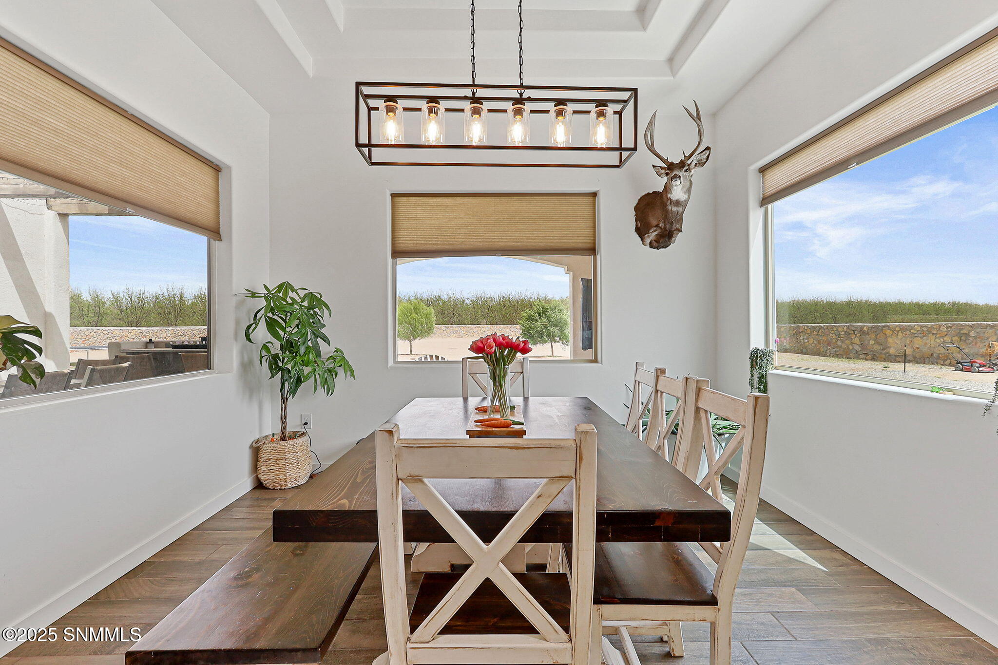 7870 Apache Canyon Drive Property Photo 18