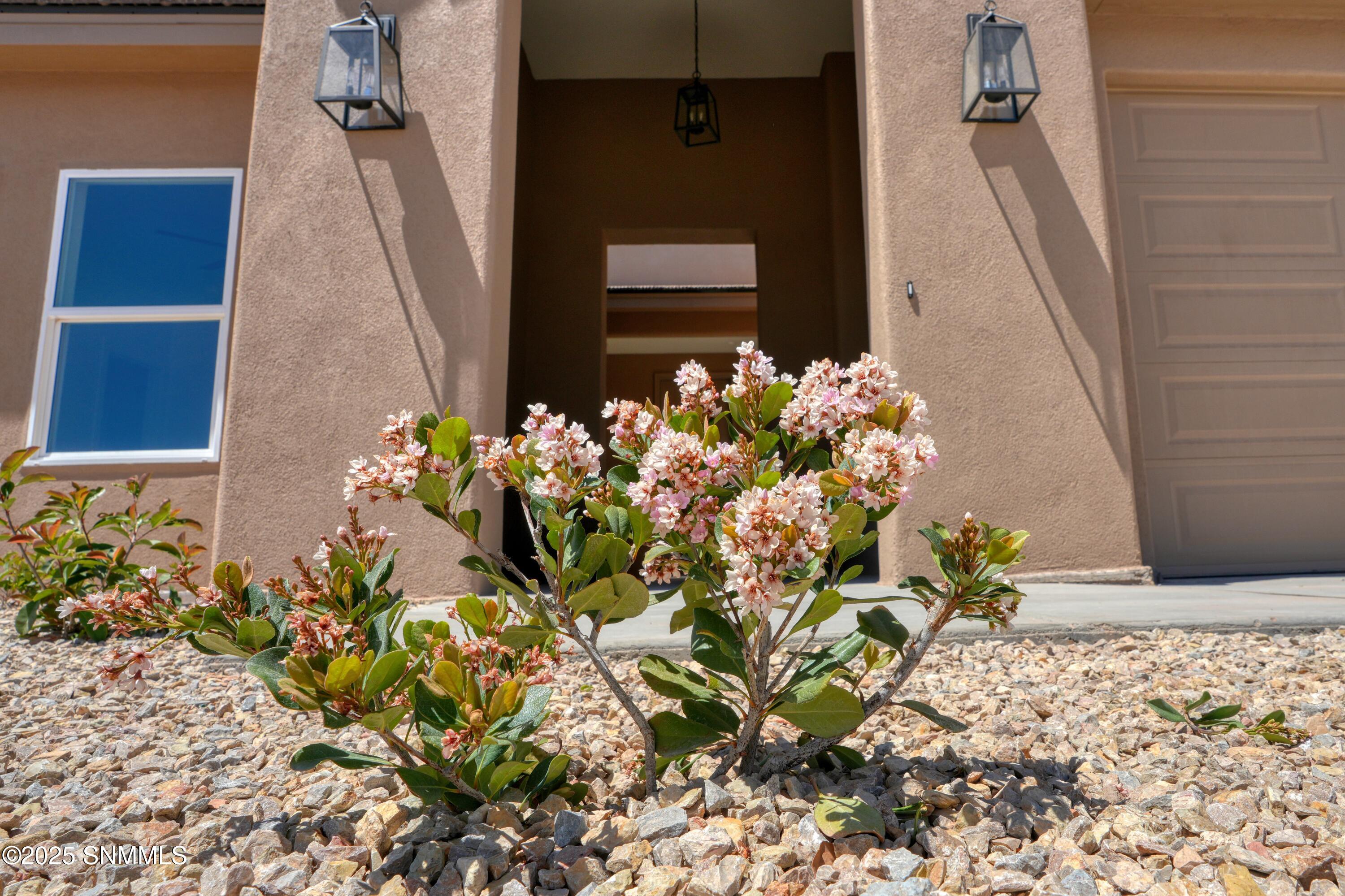 4080 Santa Elena Place Property Photo 7