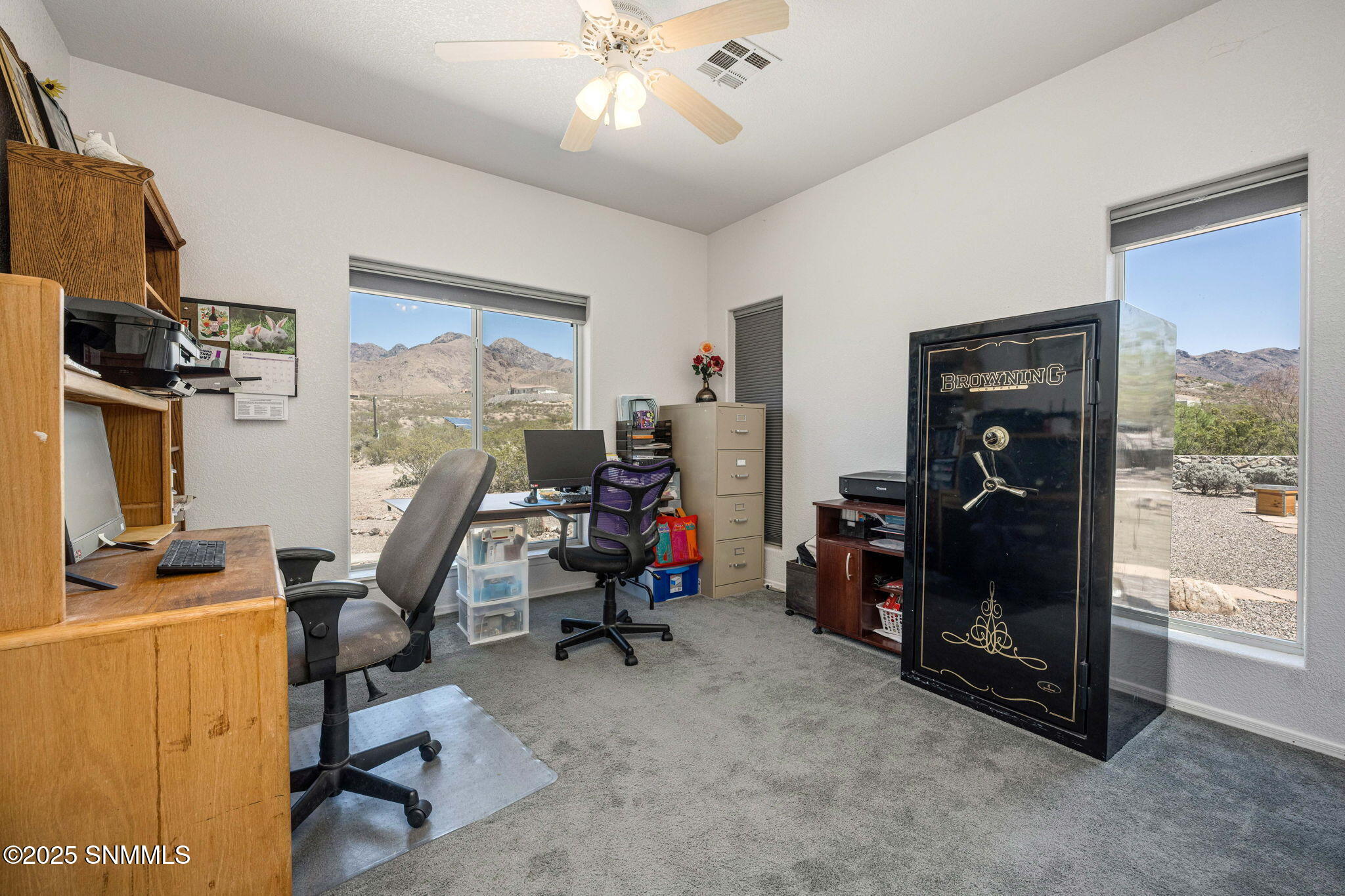 4972 Black Quartz Road Property Photo 33