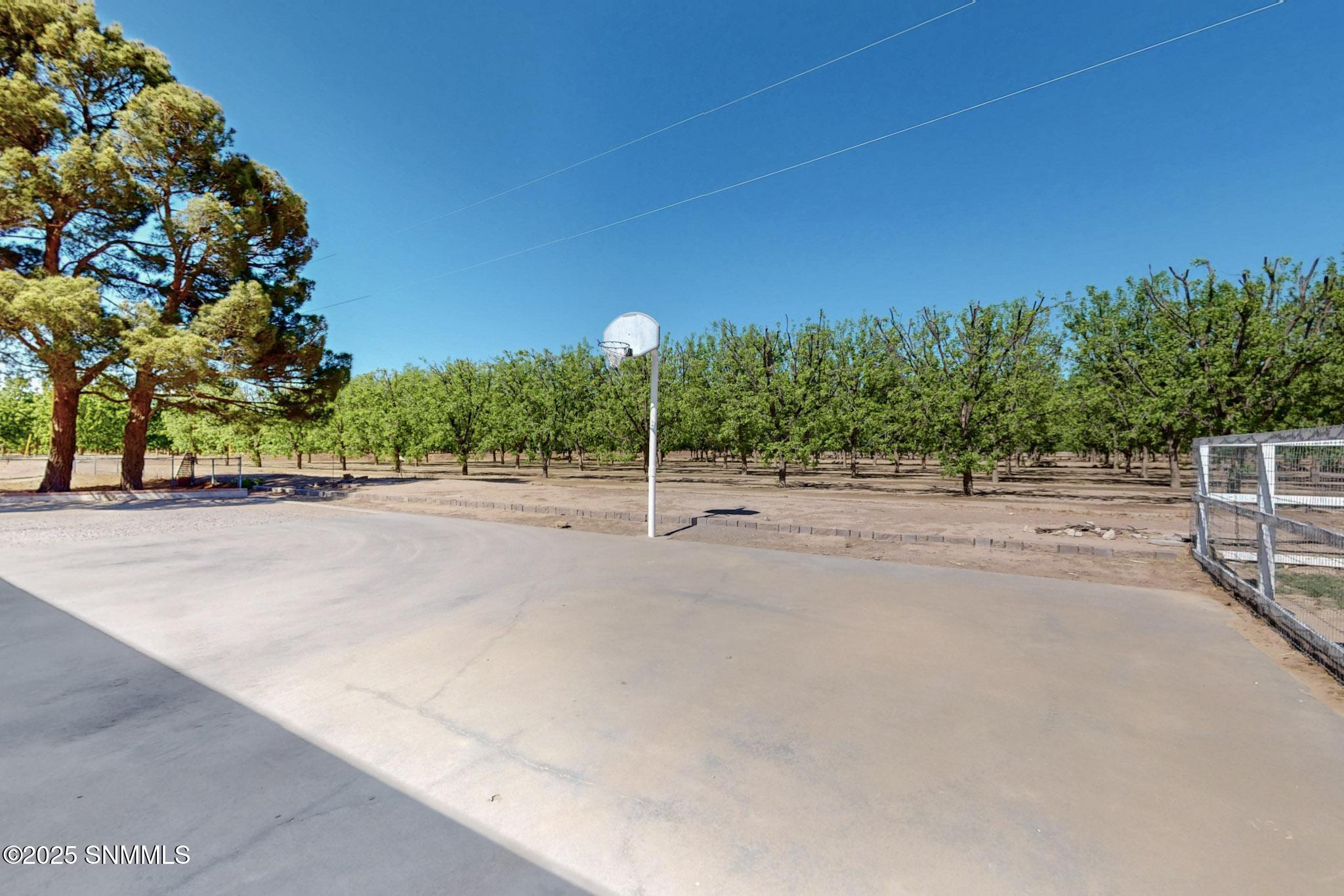 765 Pedro Madrid Road Property Photo 32