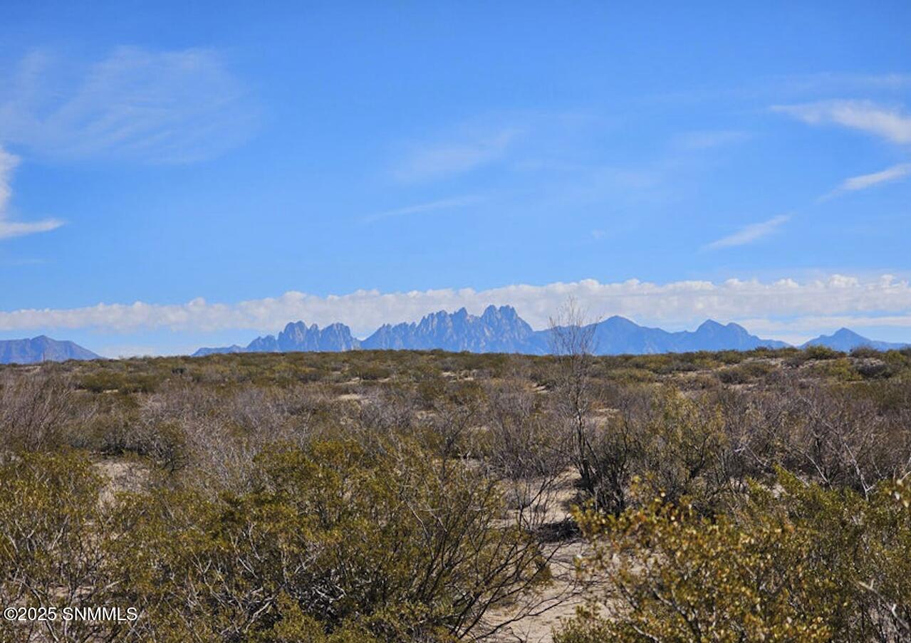 30 Tucson Avenue Property Photo 2