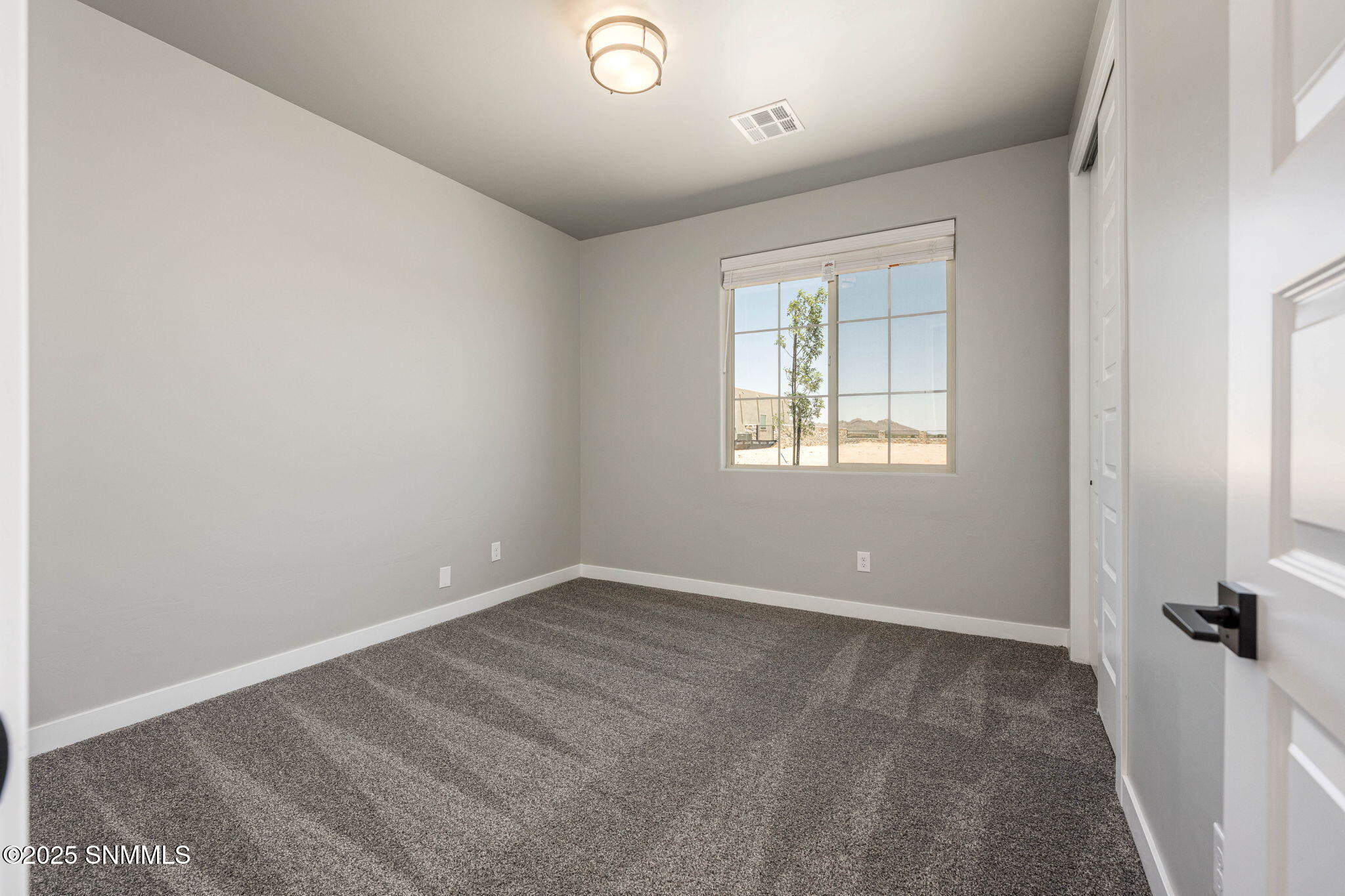3850 Royal View Street Property Photo 26