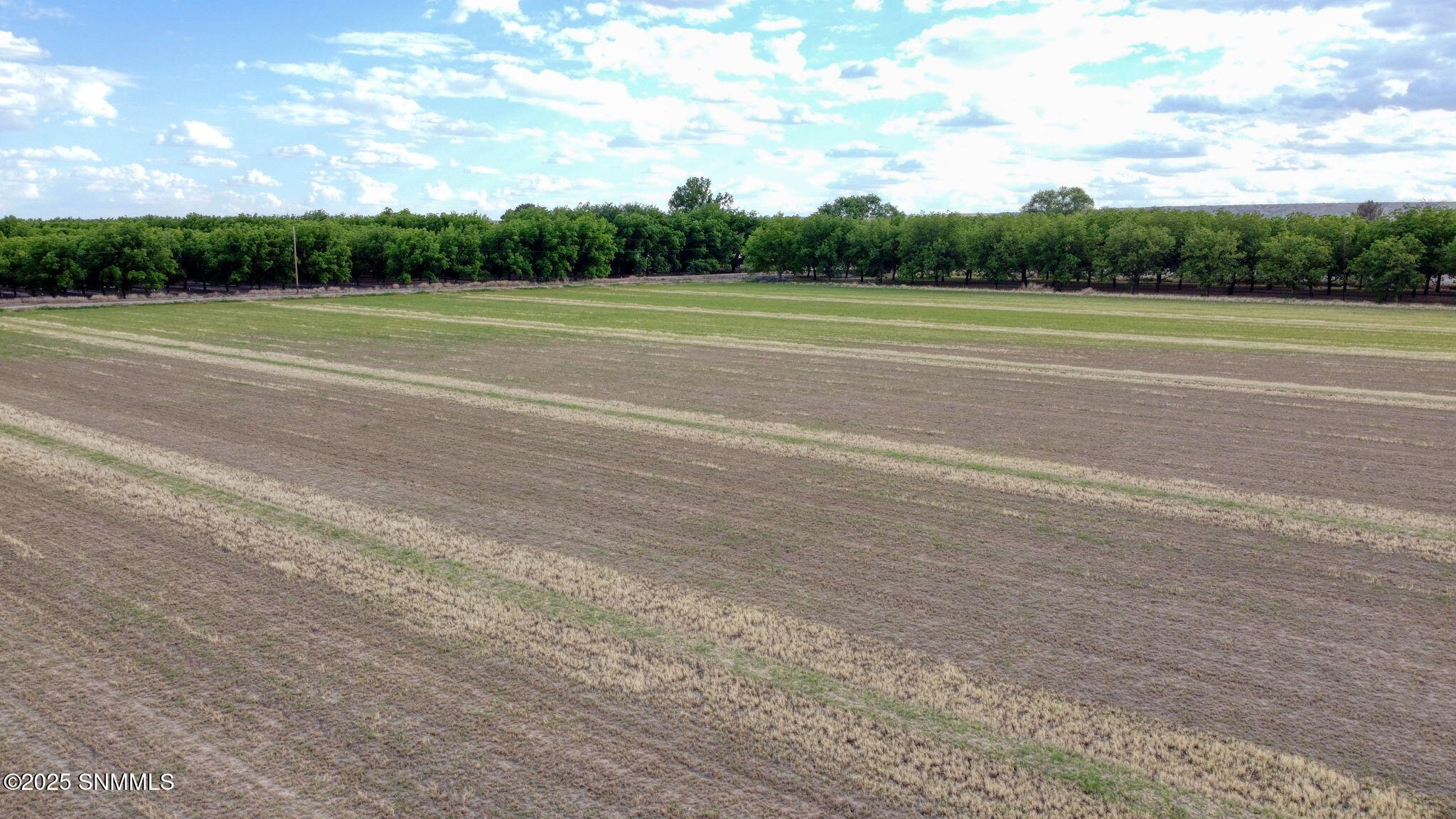3035 W Ohara Road Property Photo 4