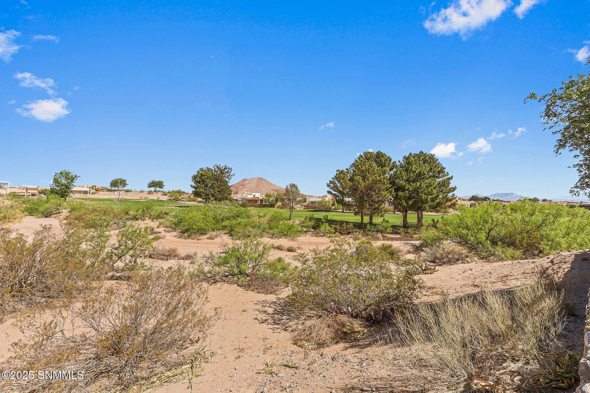10067 San Savino Court Property Photo 48